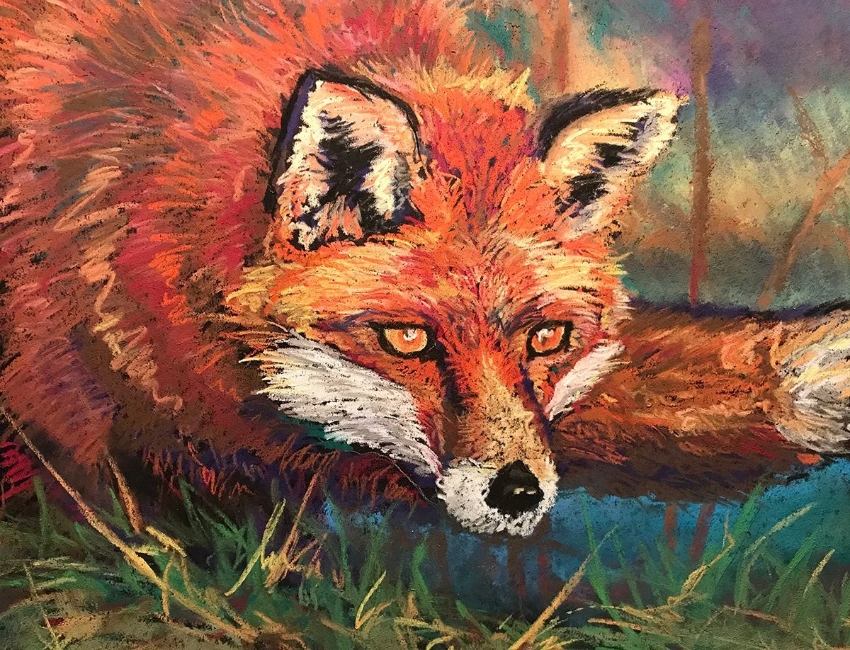 Foxy: A colorful pastel portrait created as a gift for my daughter Rae, whose love of foxes made this bright-eyed fellow a natural subject.  Owner: Rae