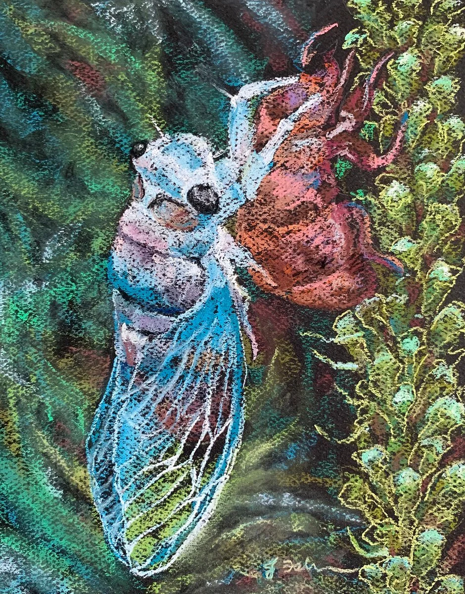 Emergence: This pastel turns the emergence of a cicada into a study of texture, color, and one of nature’s remarkable transformations. 
 Owner: Julie