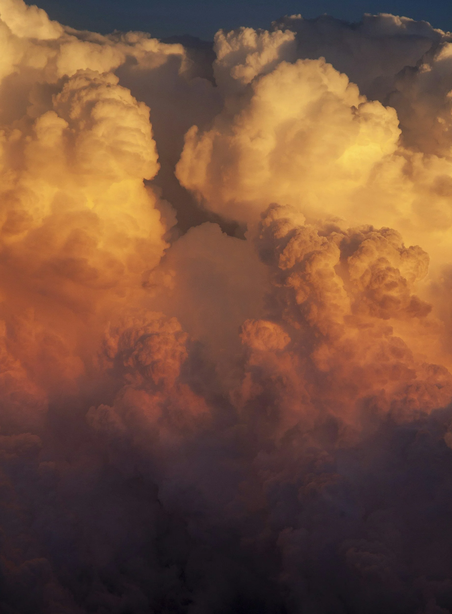 Contentious Issues in the Boardroom – August 2025 Edition