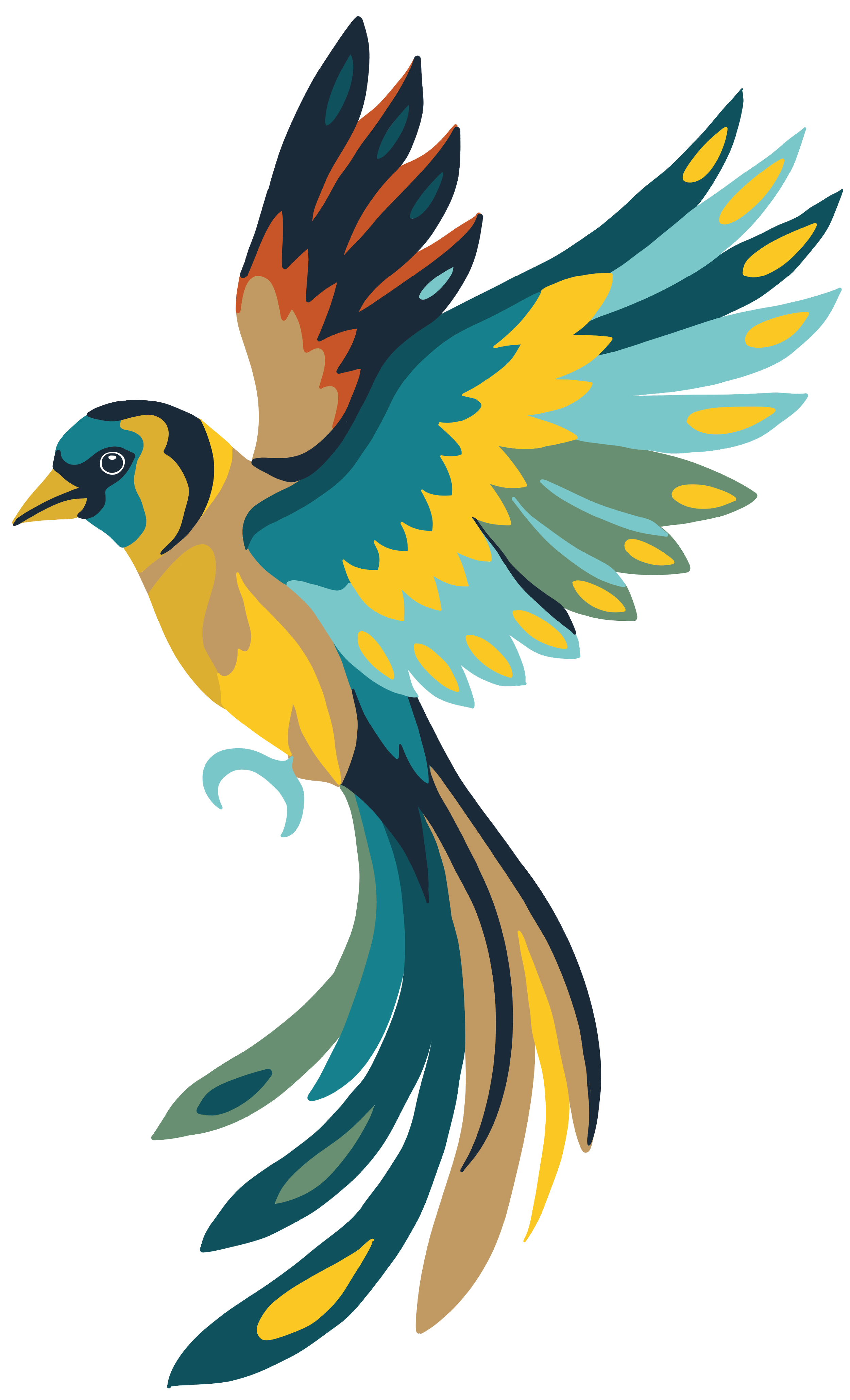 Therapist for Neurodivergent Adults in Washington and Montana