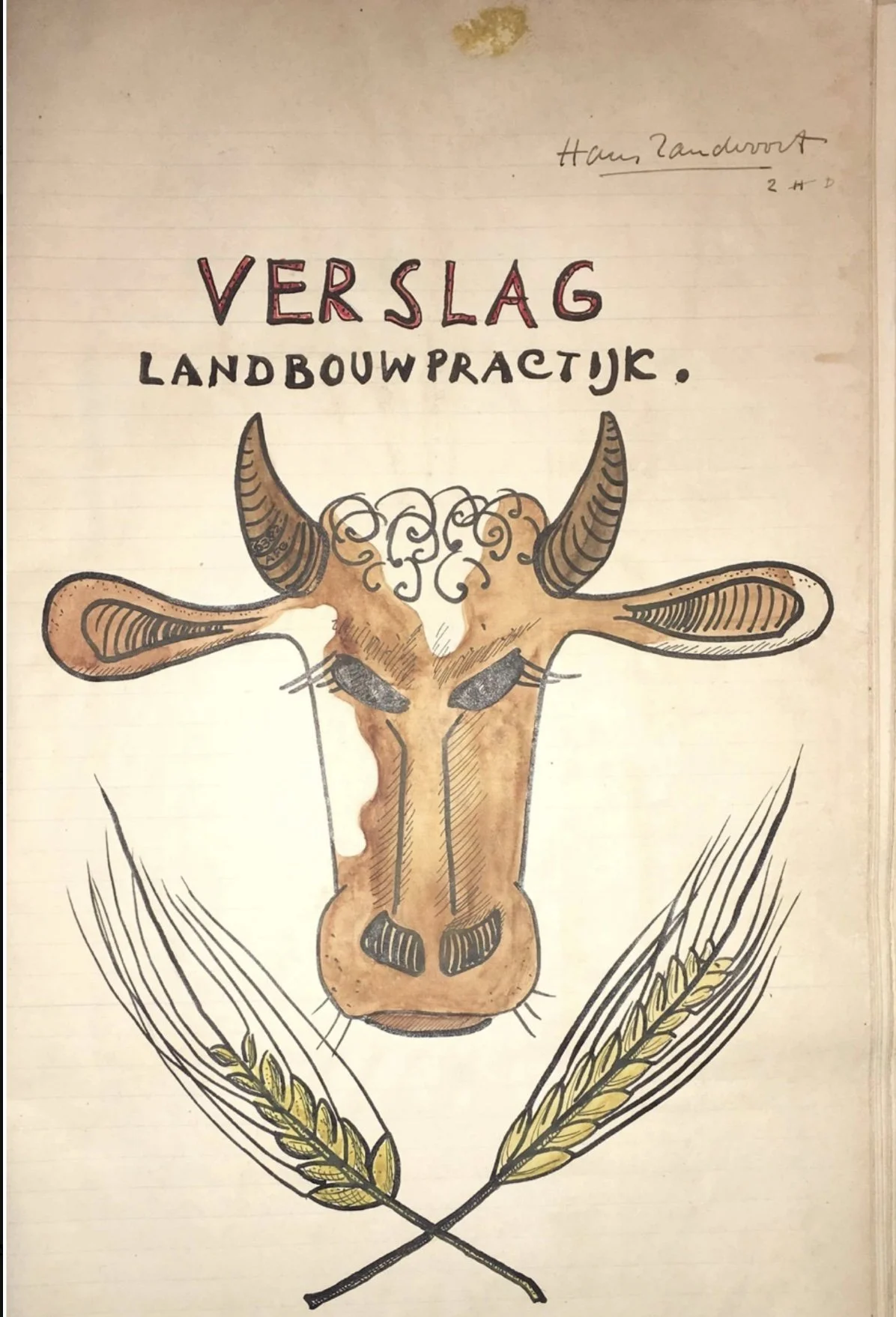 Illustrated title page of Hans Zandvoort’s 1950 Dutch agricultural practice report, with a drawing of a cow’s head and the title “Verslag Landbouwpraktijk.”