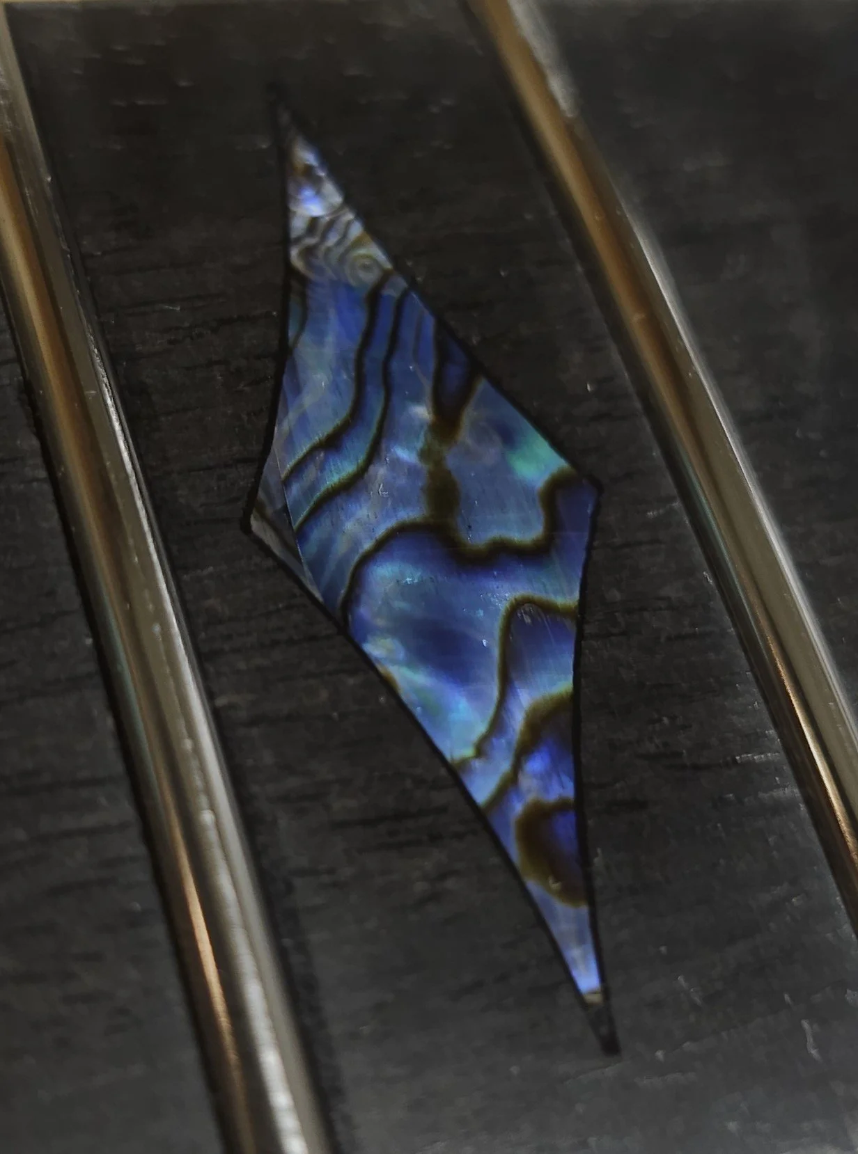 Close-up of a piece of abalone shell with iridescent blue, green, and gold colors, against a dark wooden background.
