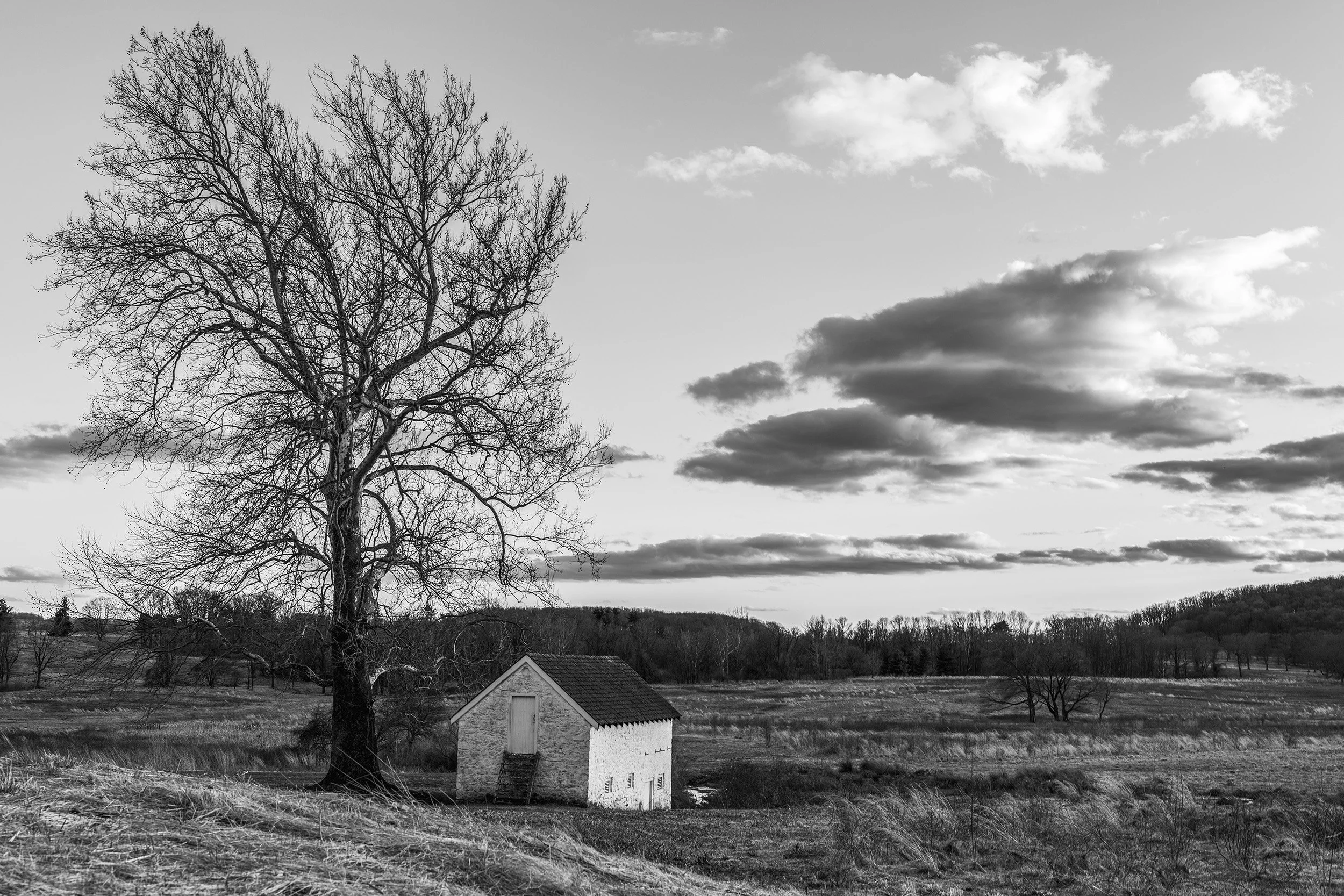 _DSC0286 (1).wss.jpg