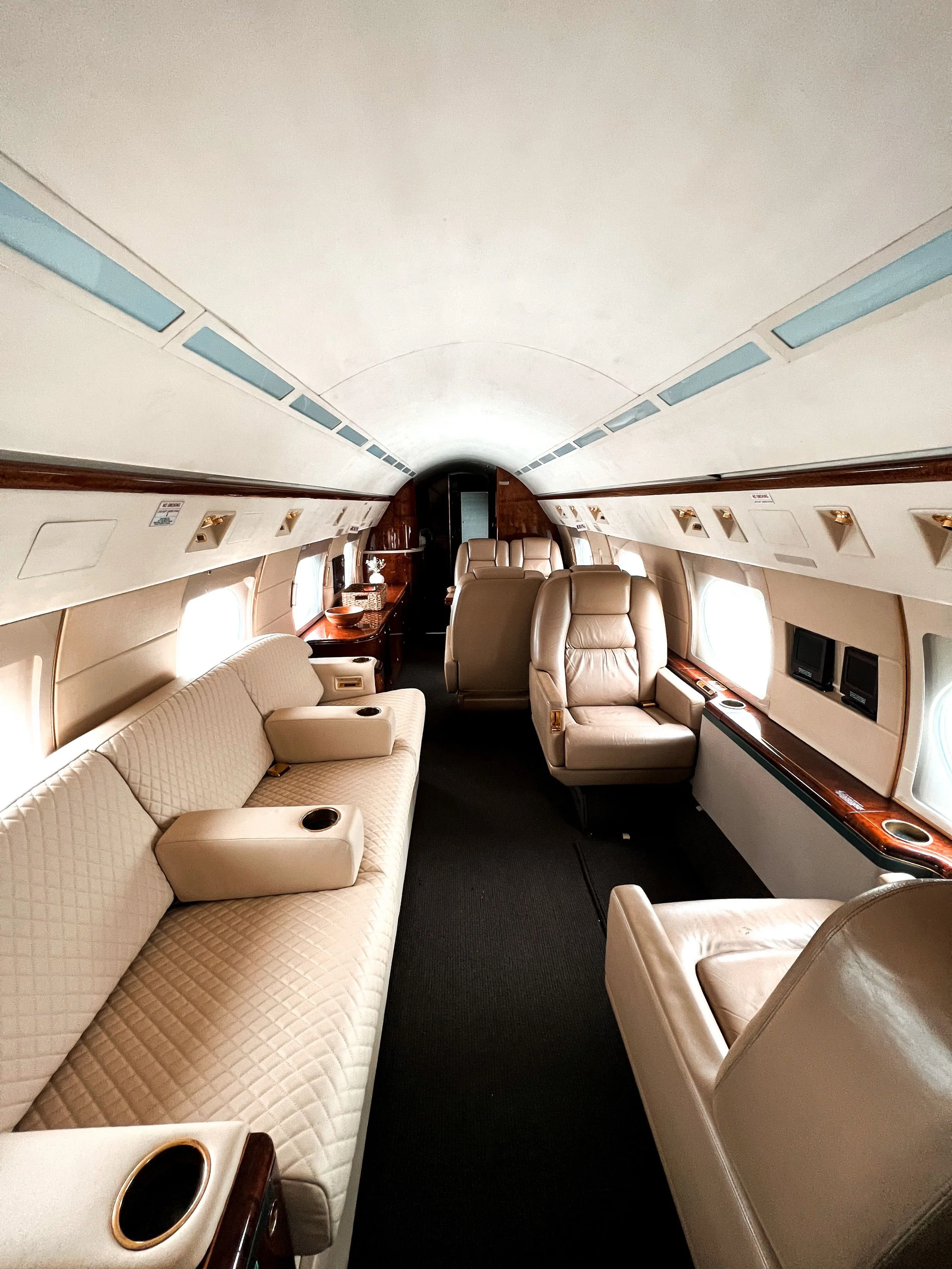 Interior of a private aircraft cleaning leather seats, windows, wood-paneled walls, and overhead compartments.