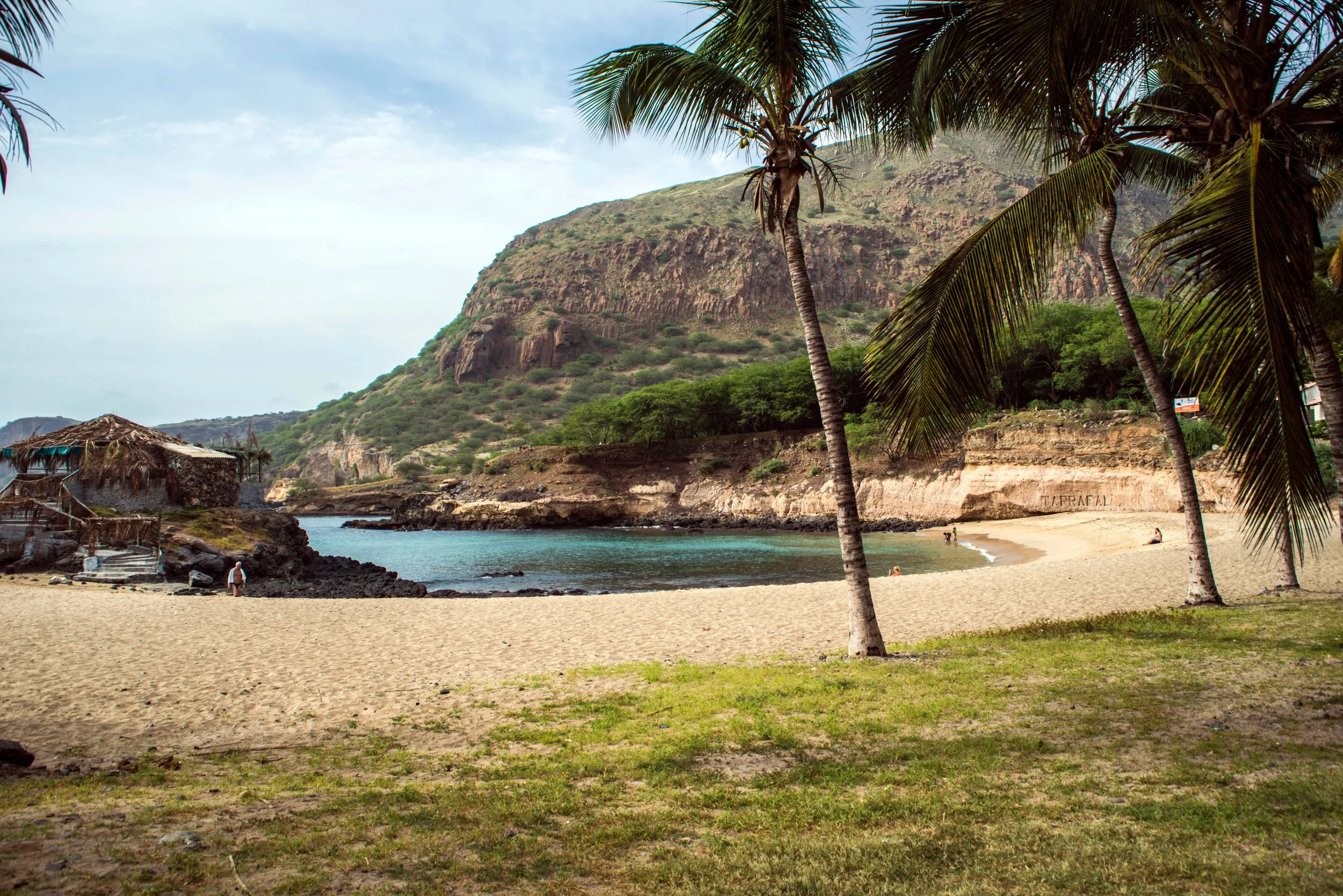 A tropical beach scene with palm trees, a sandy shore, calm water, and a mountain in the background.