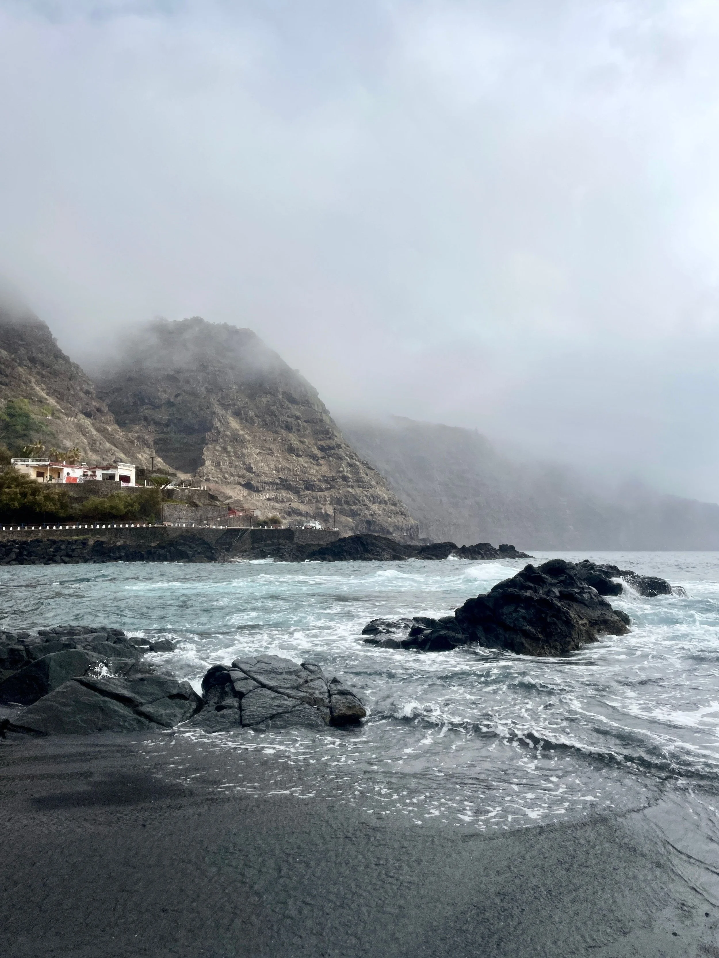Rocky coastline with waves crashing onto black sand beach, fog-covered cliffs with sparse vegetation, and a few small buildings along the shore.