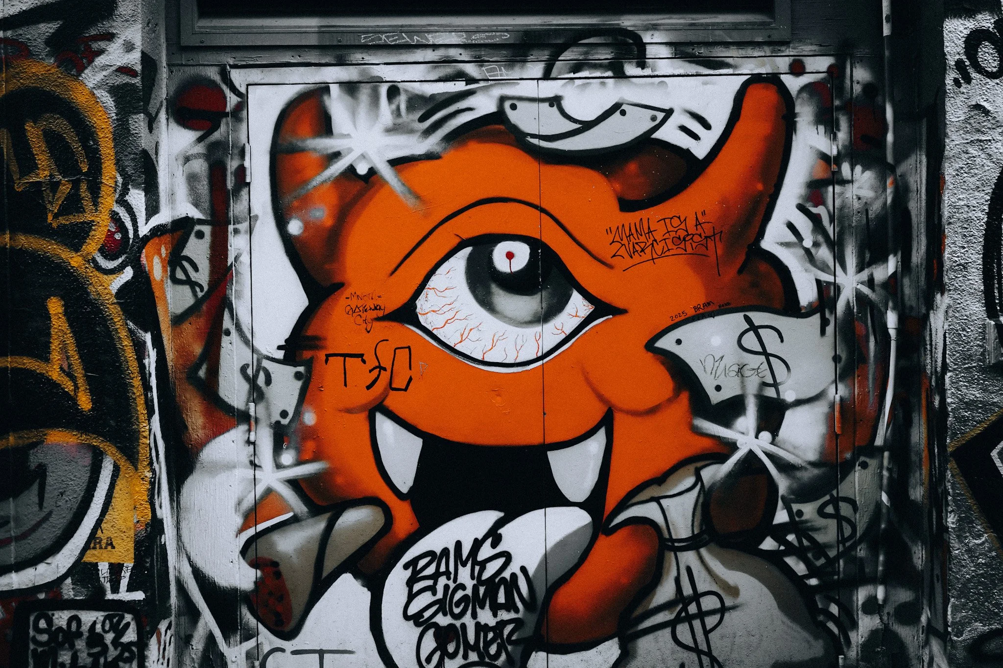DSC00136.jpeg