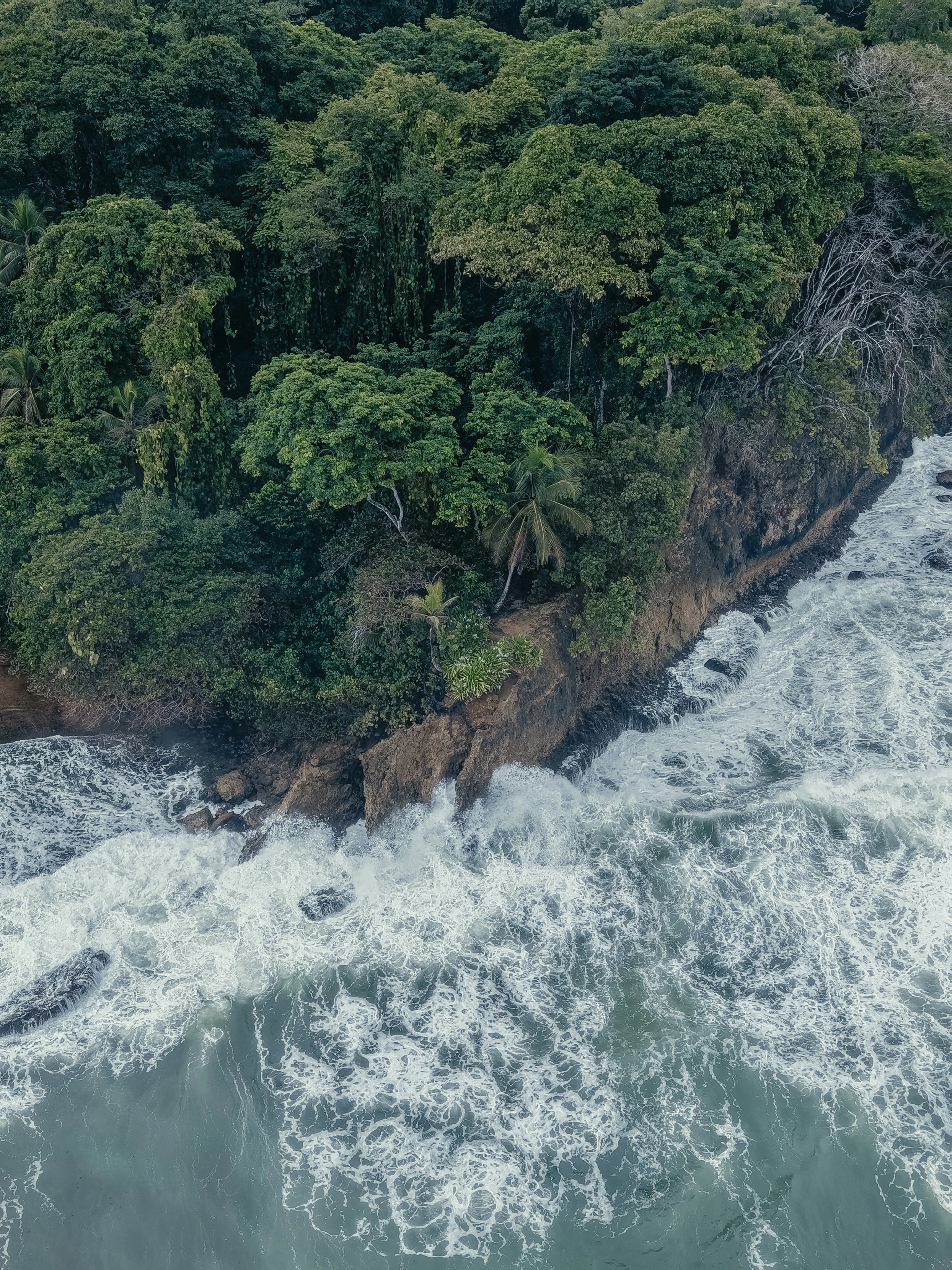 dji_fly_20260807_064648_0215_1786112340582_photo.jpeg