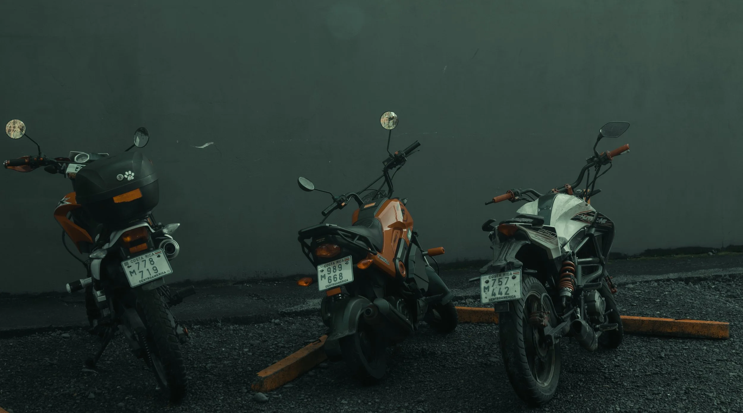 DSC01942.jpeg