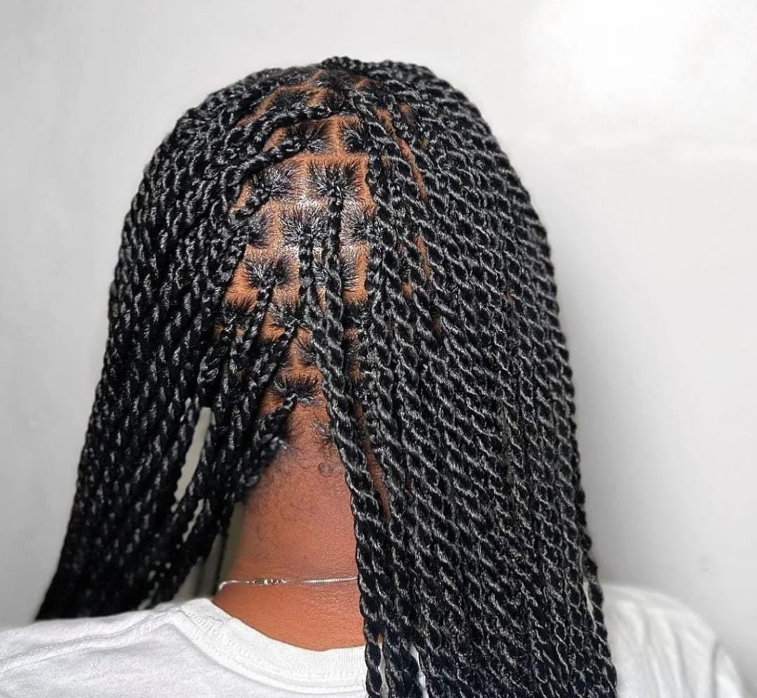 Back of a person with long, black twisted braids.
