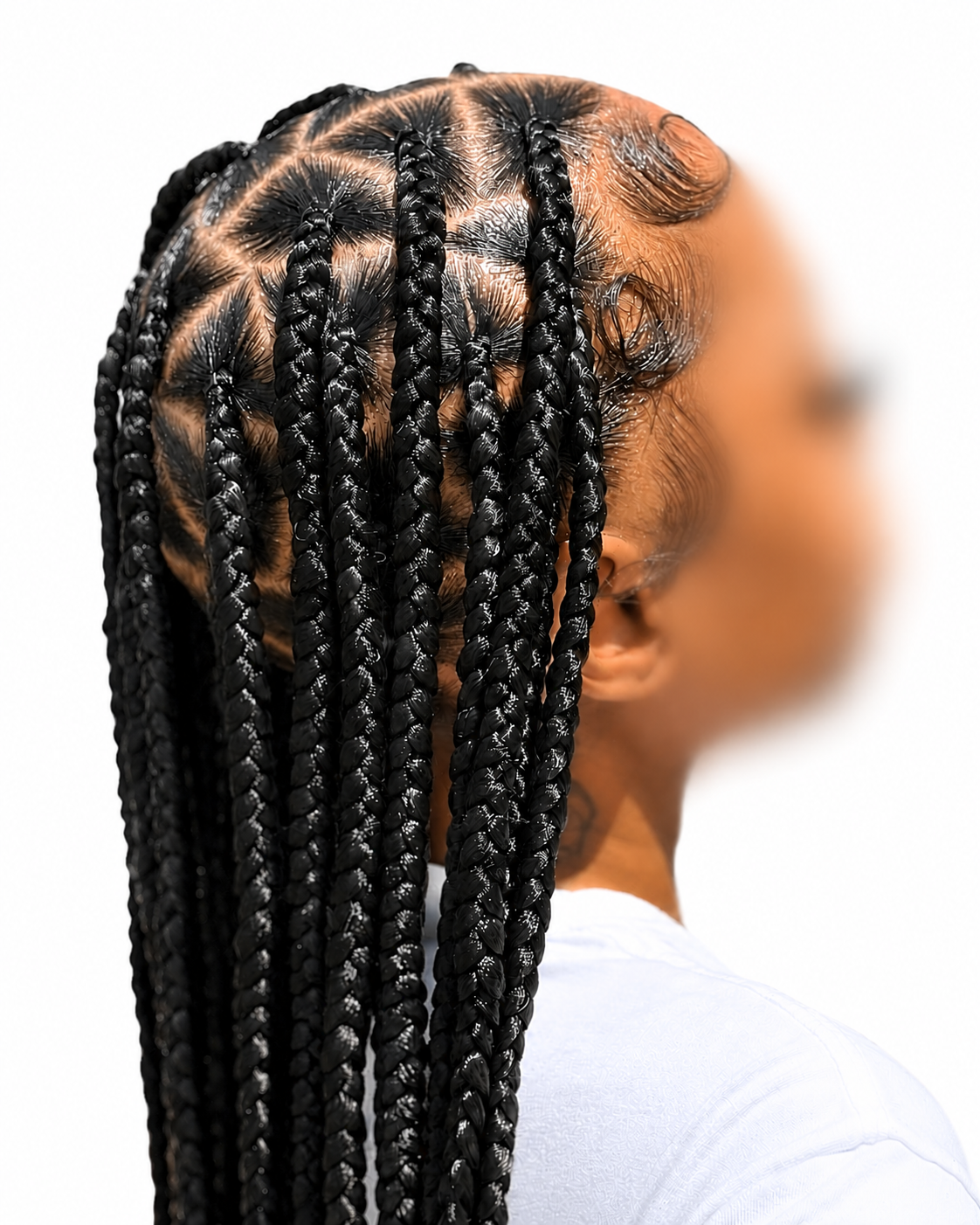 Close-up view of a person with long black braided hair.