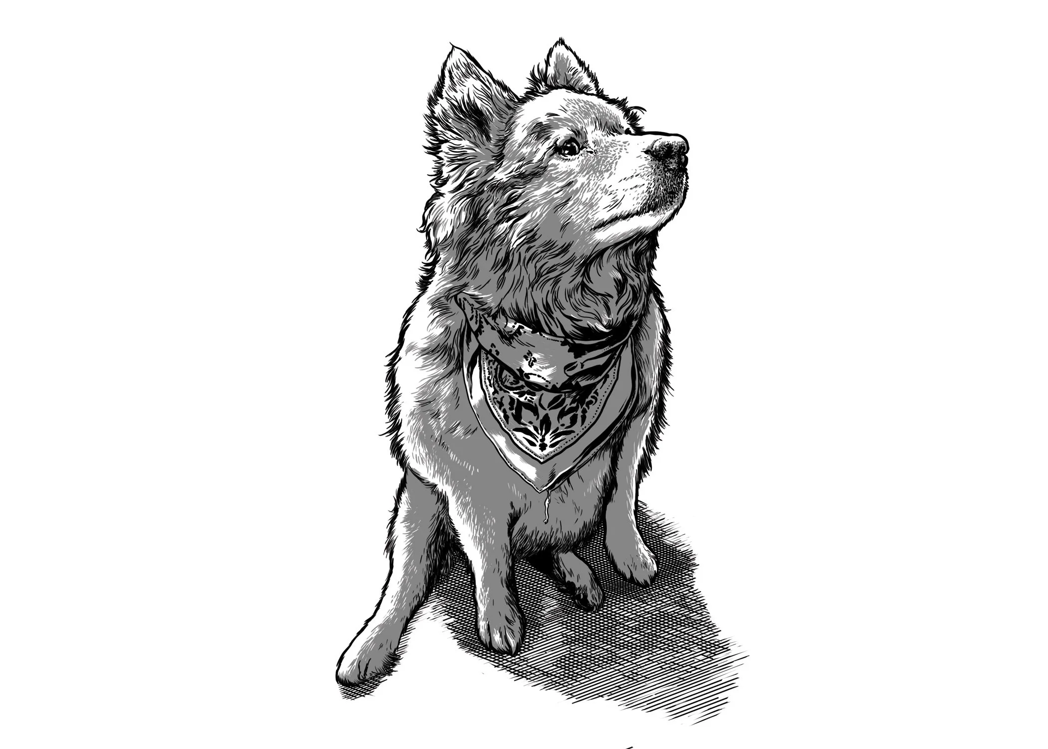 Doggo.jpg
