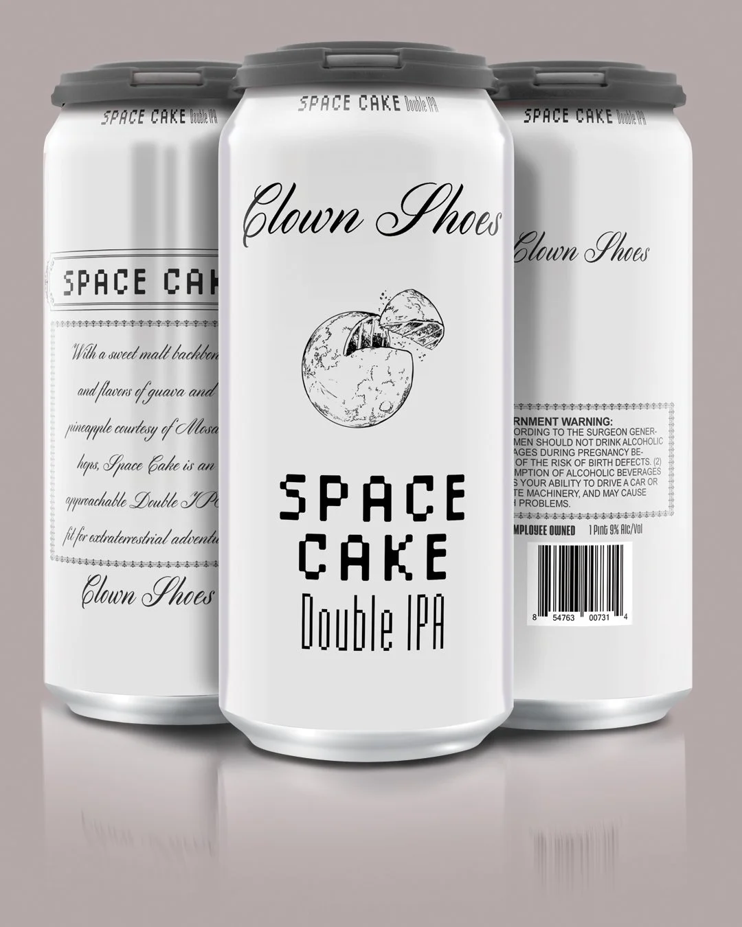 CS-FakeCake.jpg
