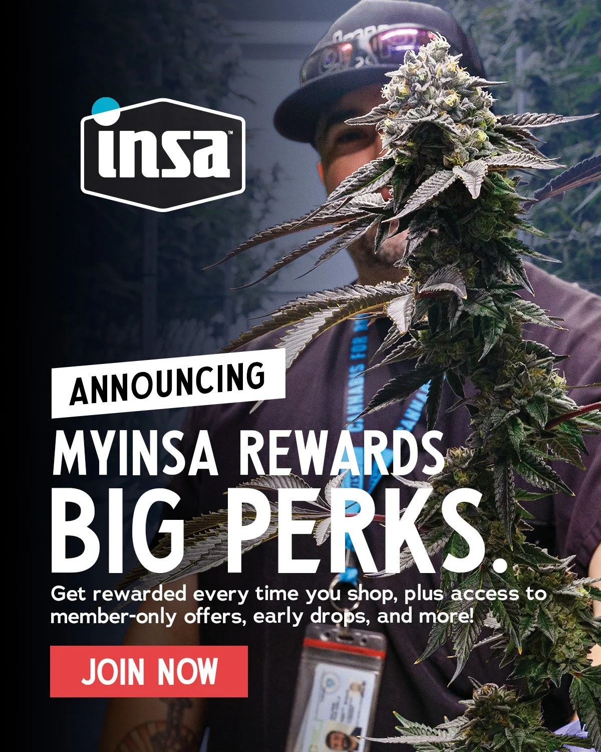 INSA Rewards.jpg