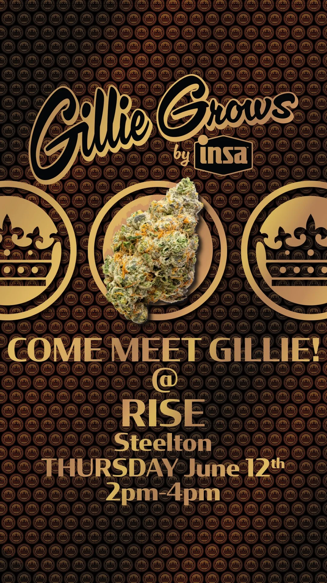 PA_Gillie-Story_PopUp_Rise-Steelton.jpg