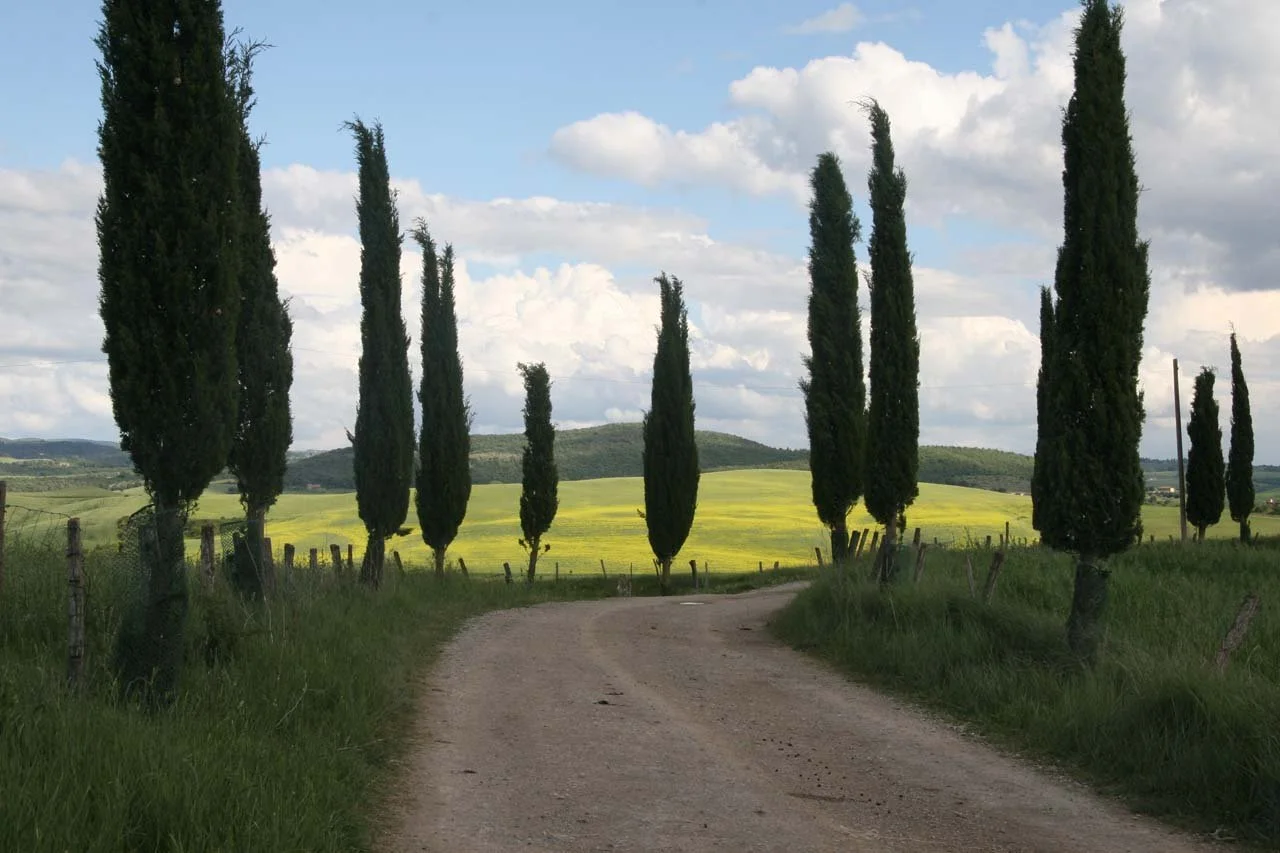 scenic2.jpg