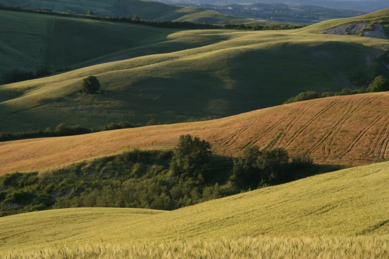 scenic3.jpg