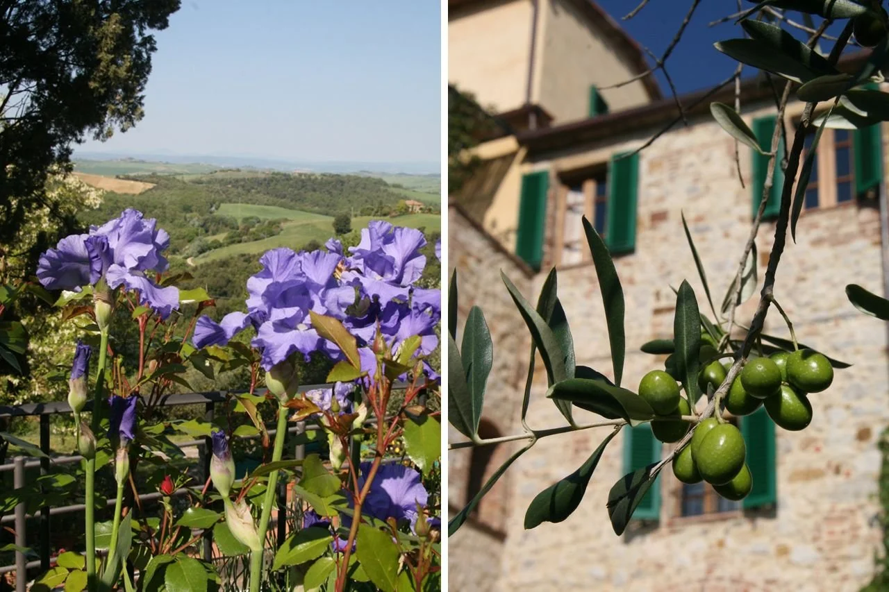 gardens2.jpg