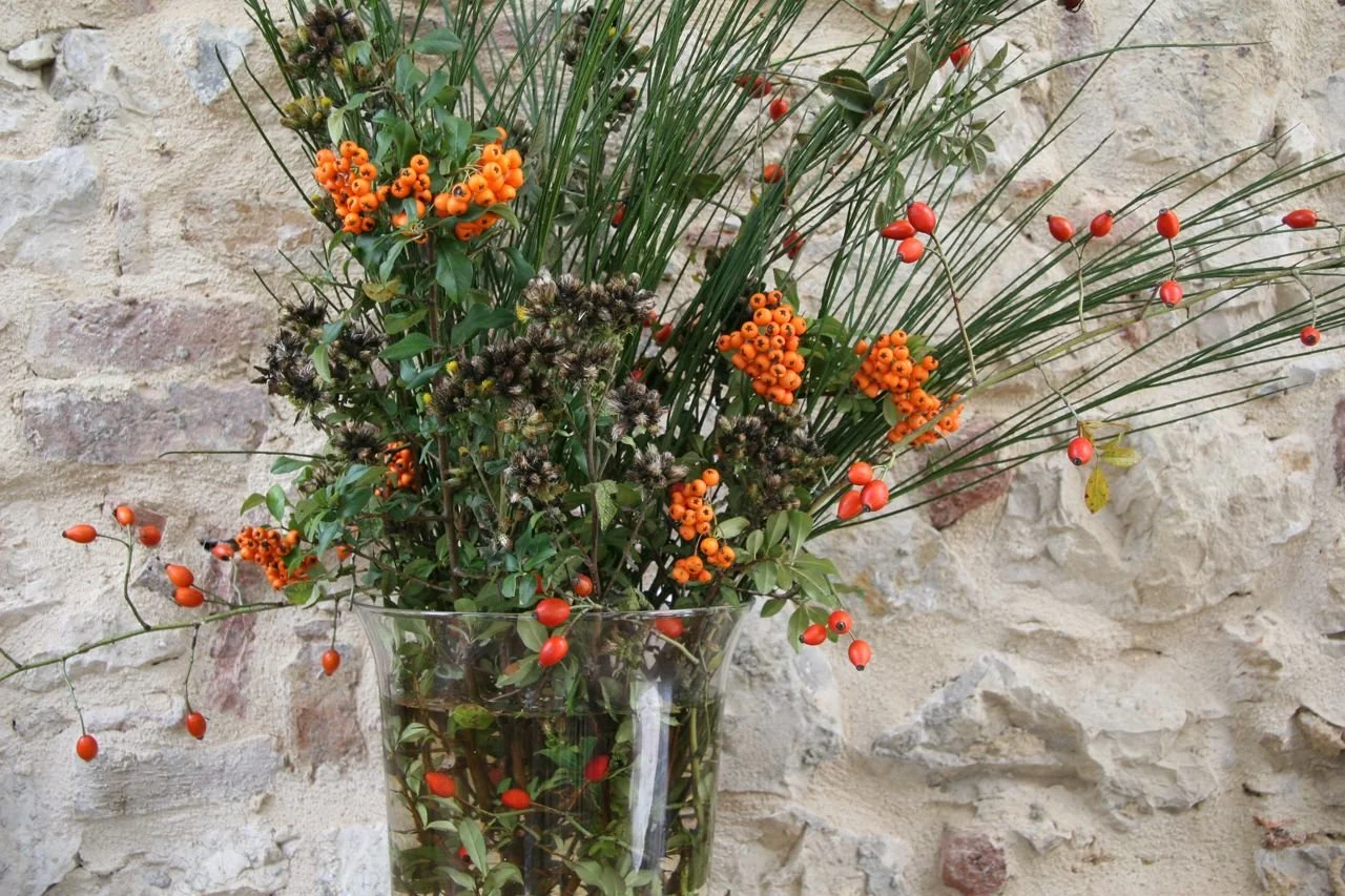 gardens5.jpg