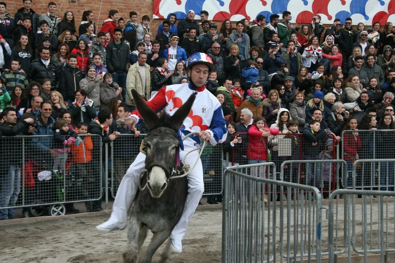 festivals14.jpg
