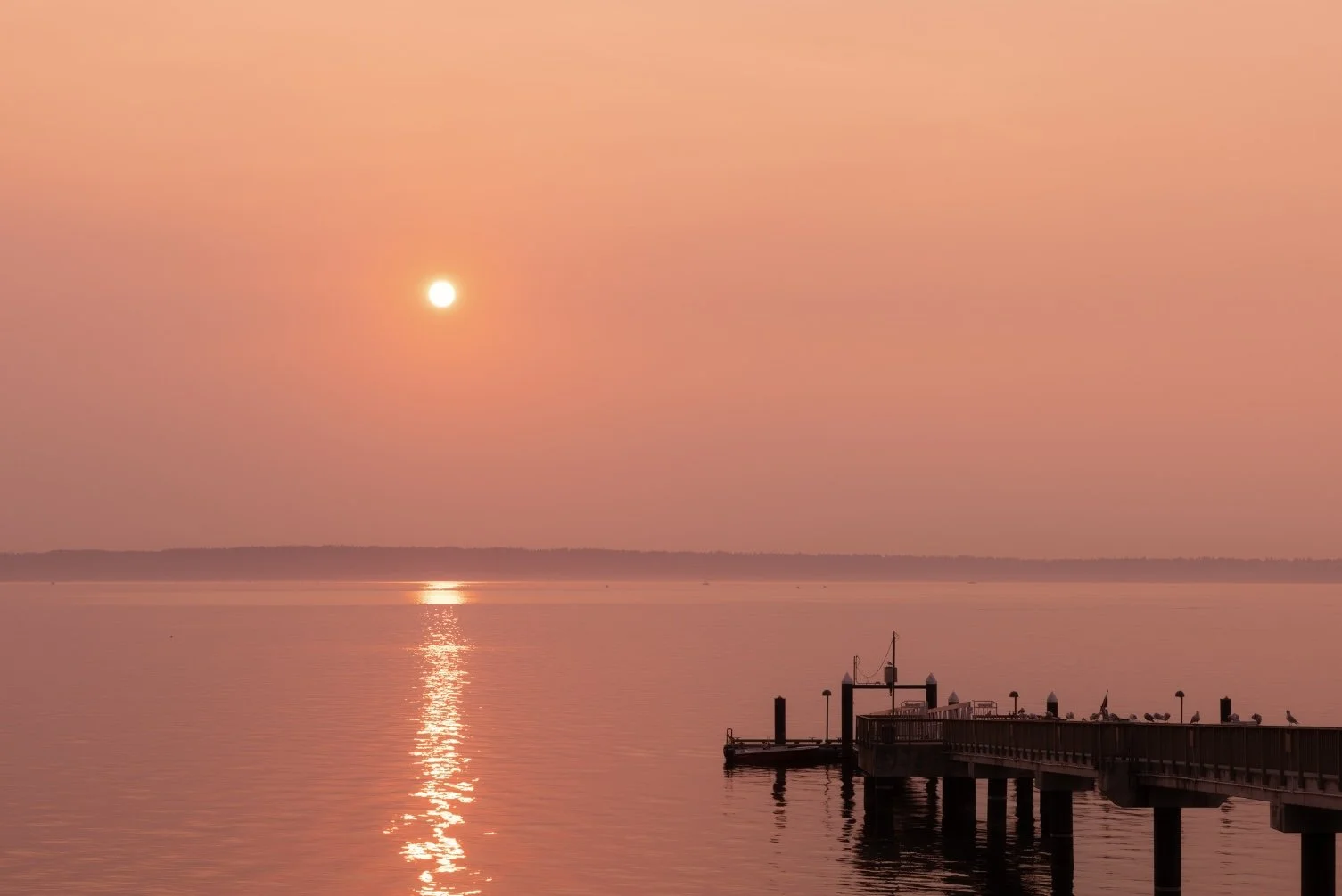 Still Morning Haze