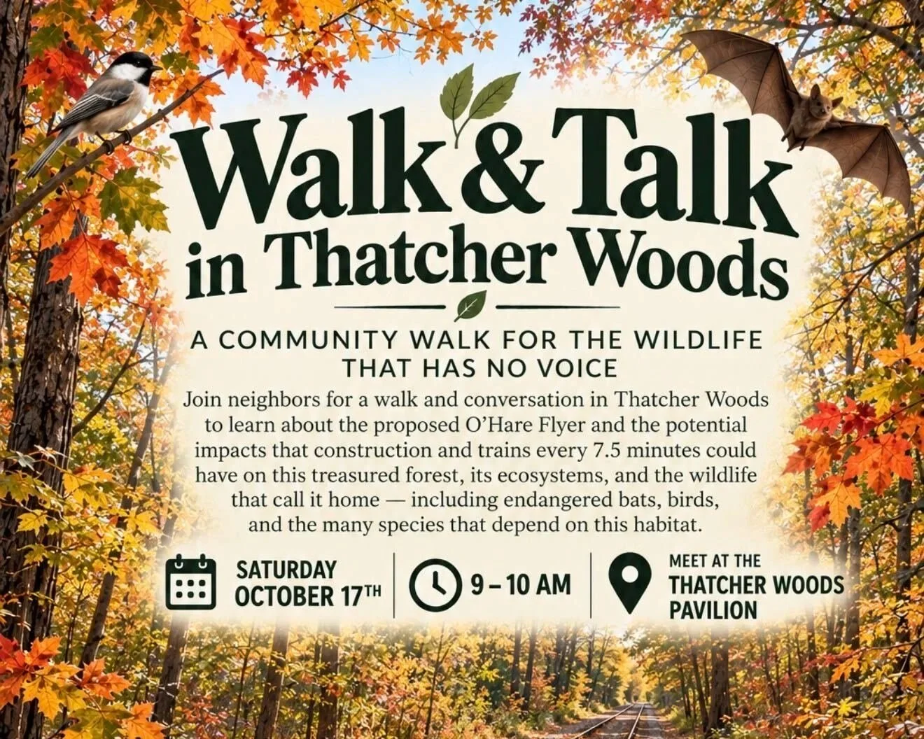 Walk and Talk in Thatcher Woods