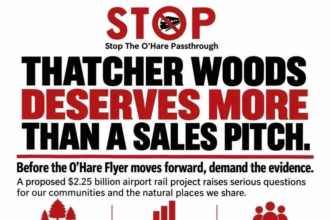 Thatcher Woods Deserves More Than a Sales Pitch