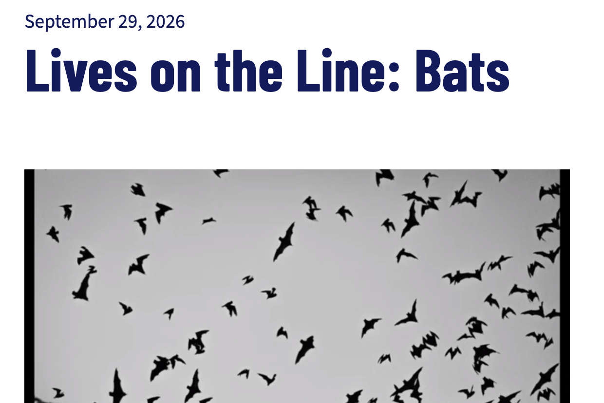Thatcher Woods is home to eight species of bats. The operation of the O’Hare Flyer within the Forest Preserve would devistatingly impact all bats, including the endangered Northern Long-Eared Bat.