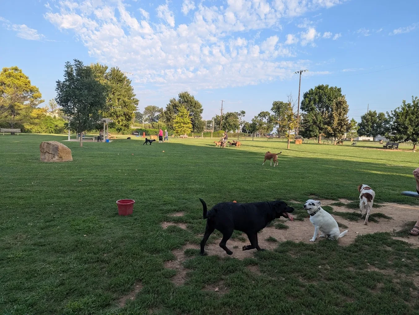 Tulsa's first dog park, built on an old baseball field near downtown, with separate fenced sections for small and large dogs. Amenities include a water fountain, waste stations, covered seating areas, restrooms, and ample parking. Dogs must be spayed
