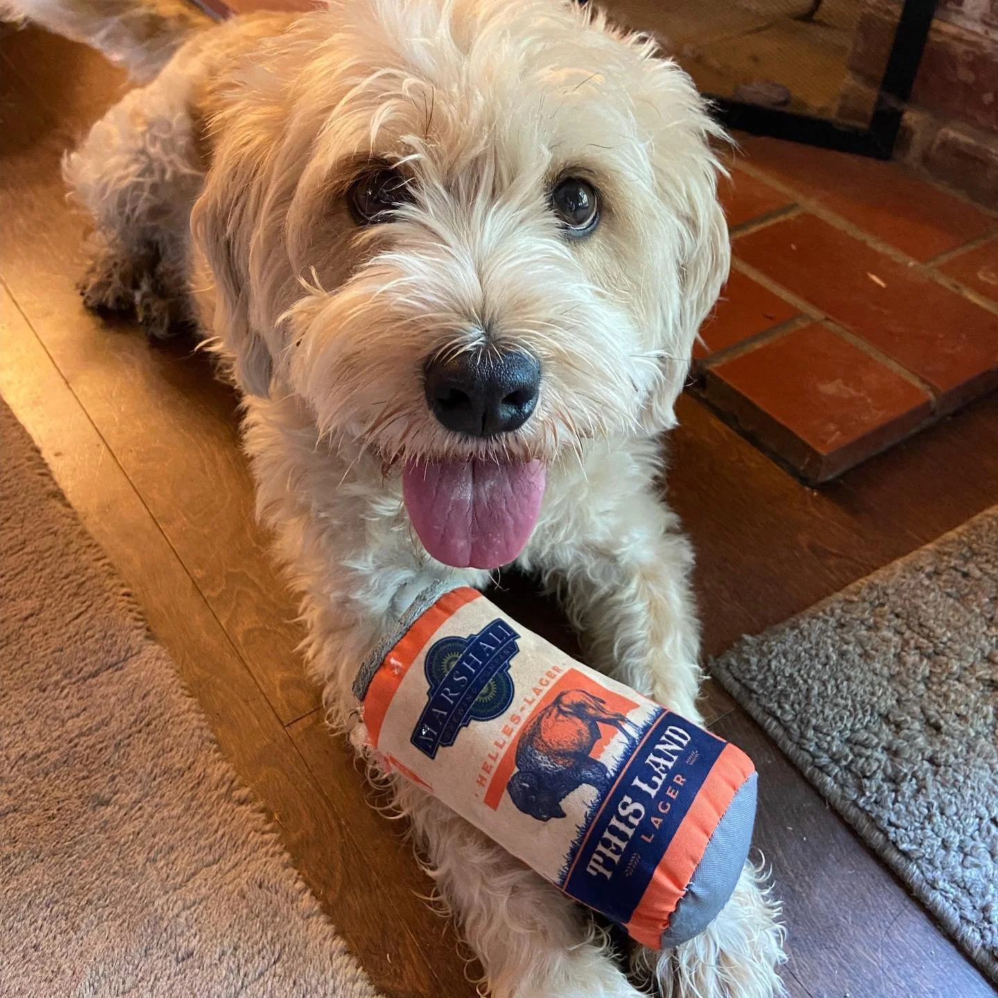 Dog Friendly Tulsa Marshall Brewing