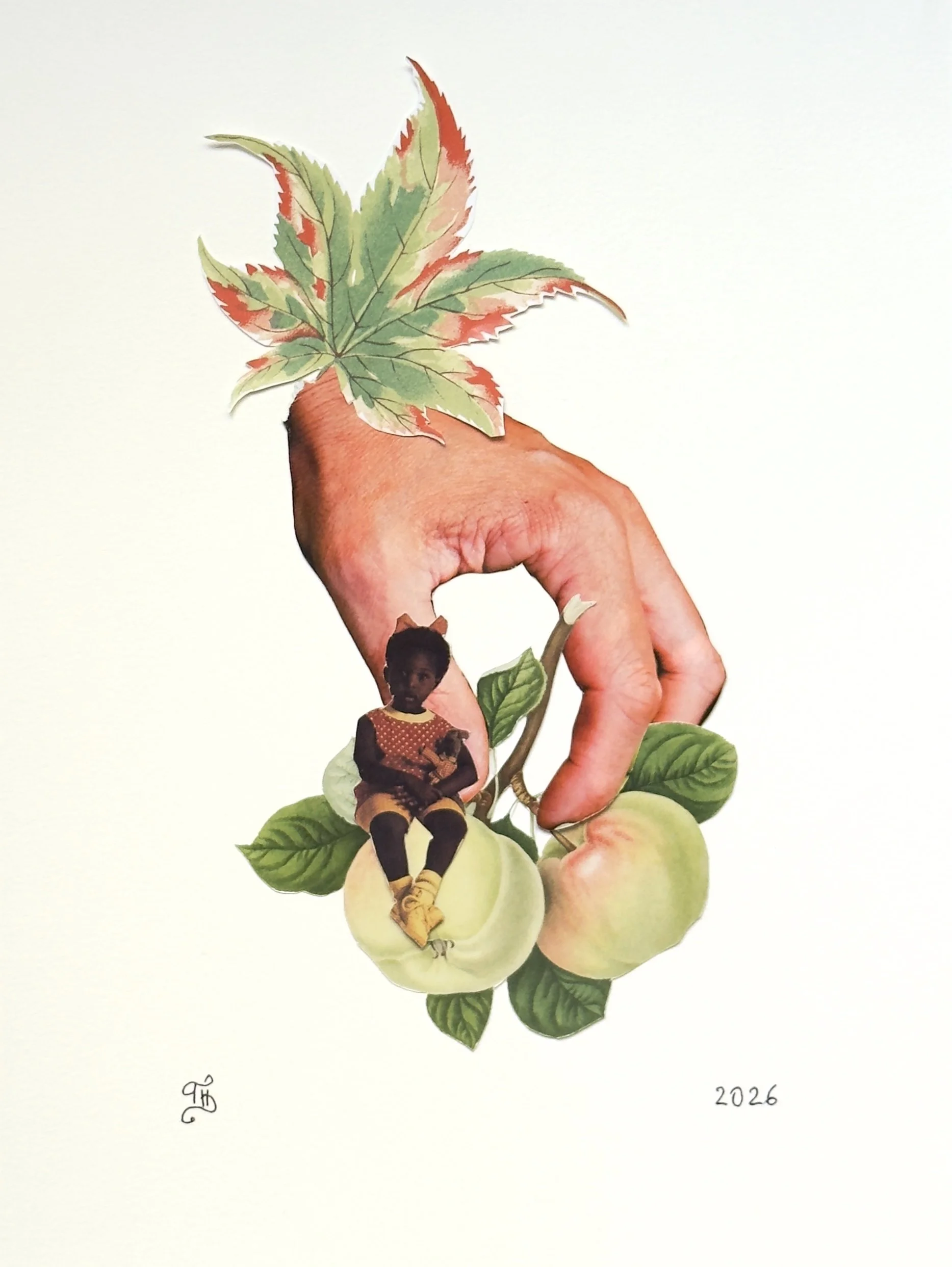 The Harvest Original