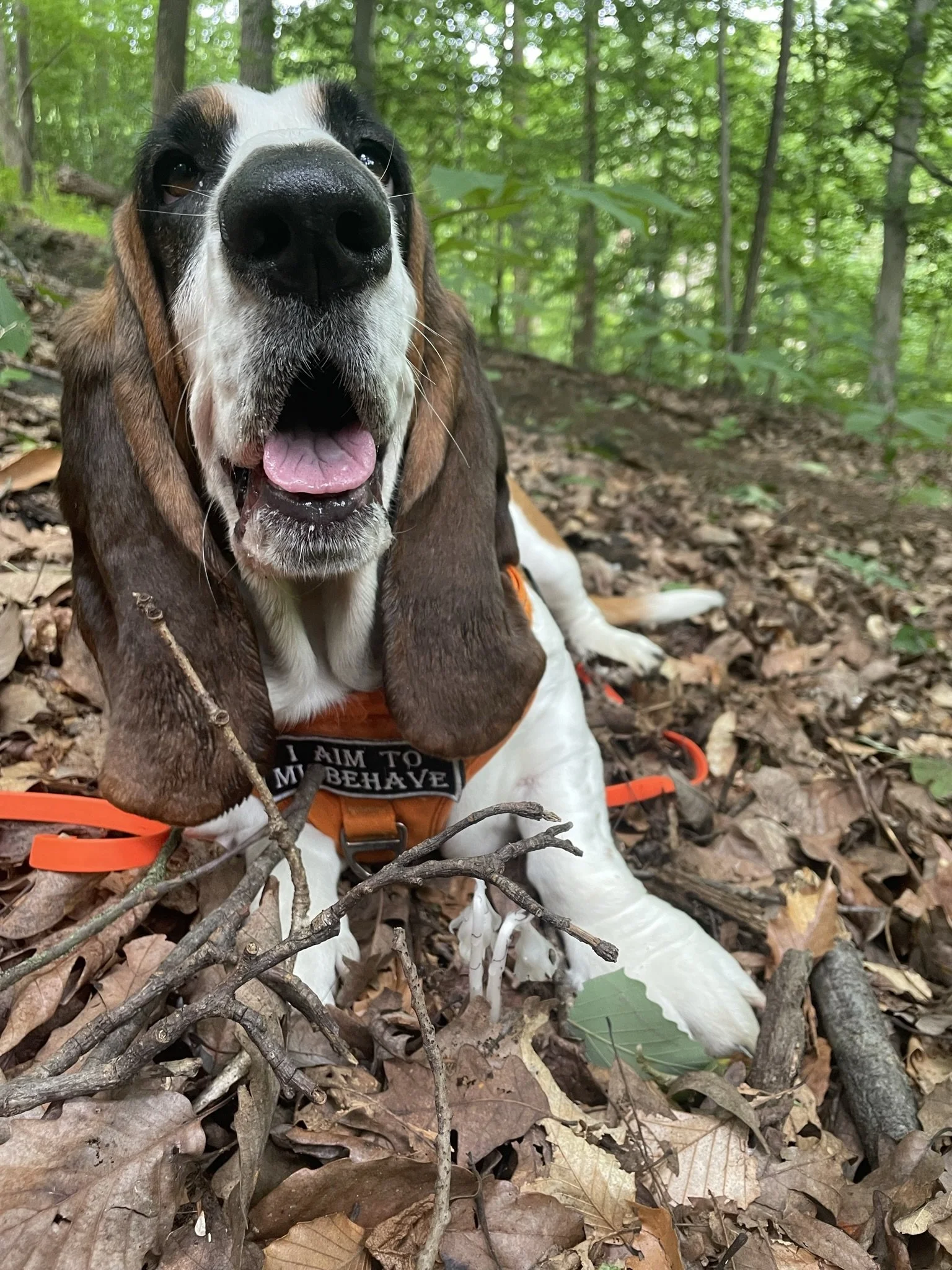 Private property and the Search