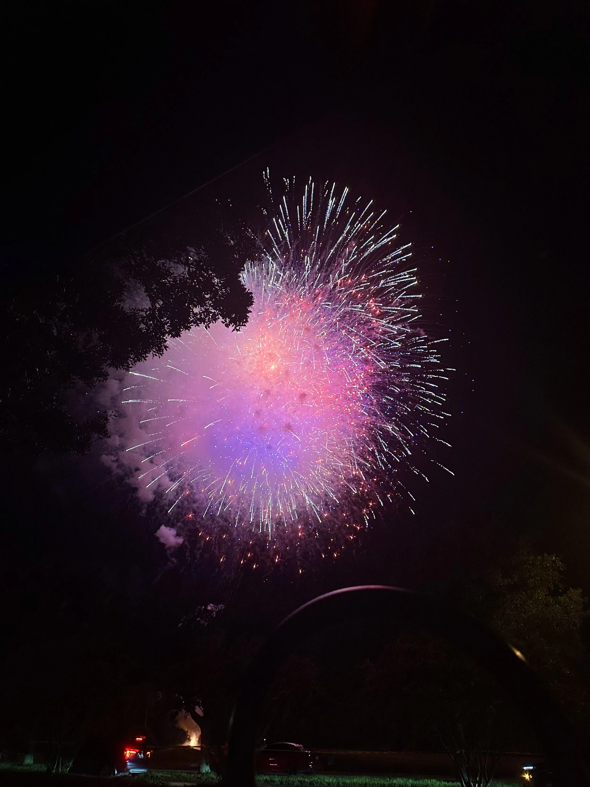 IMG_3655_Original.jpeg
