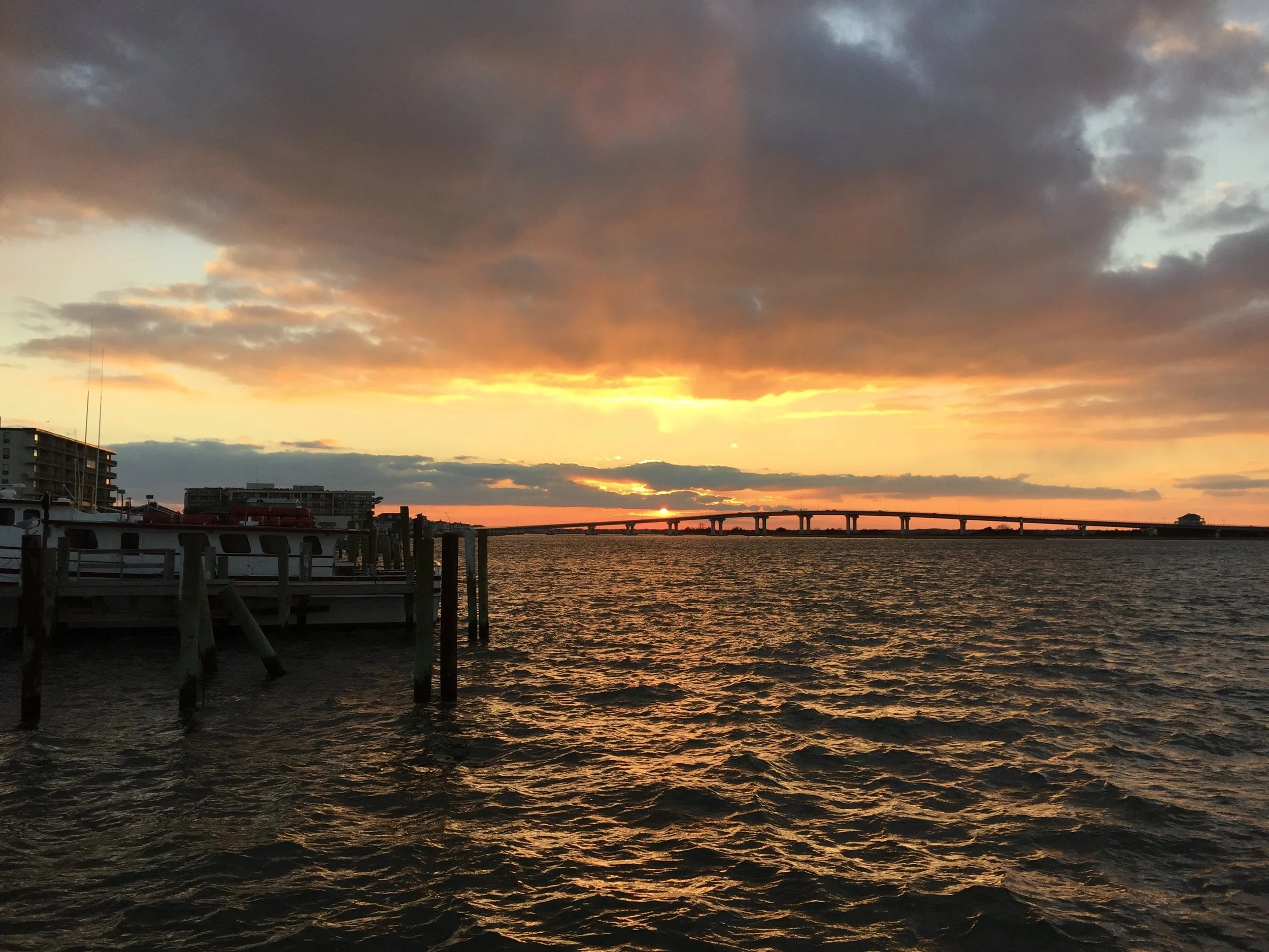 IMG_1717_Original.jpeg
