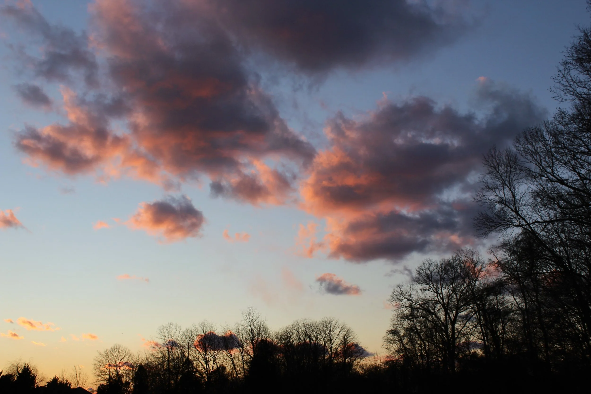 IMG_0454_Original.jpeg