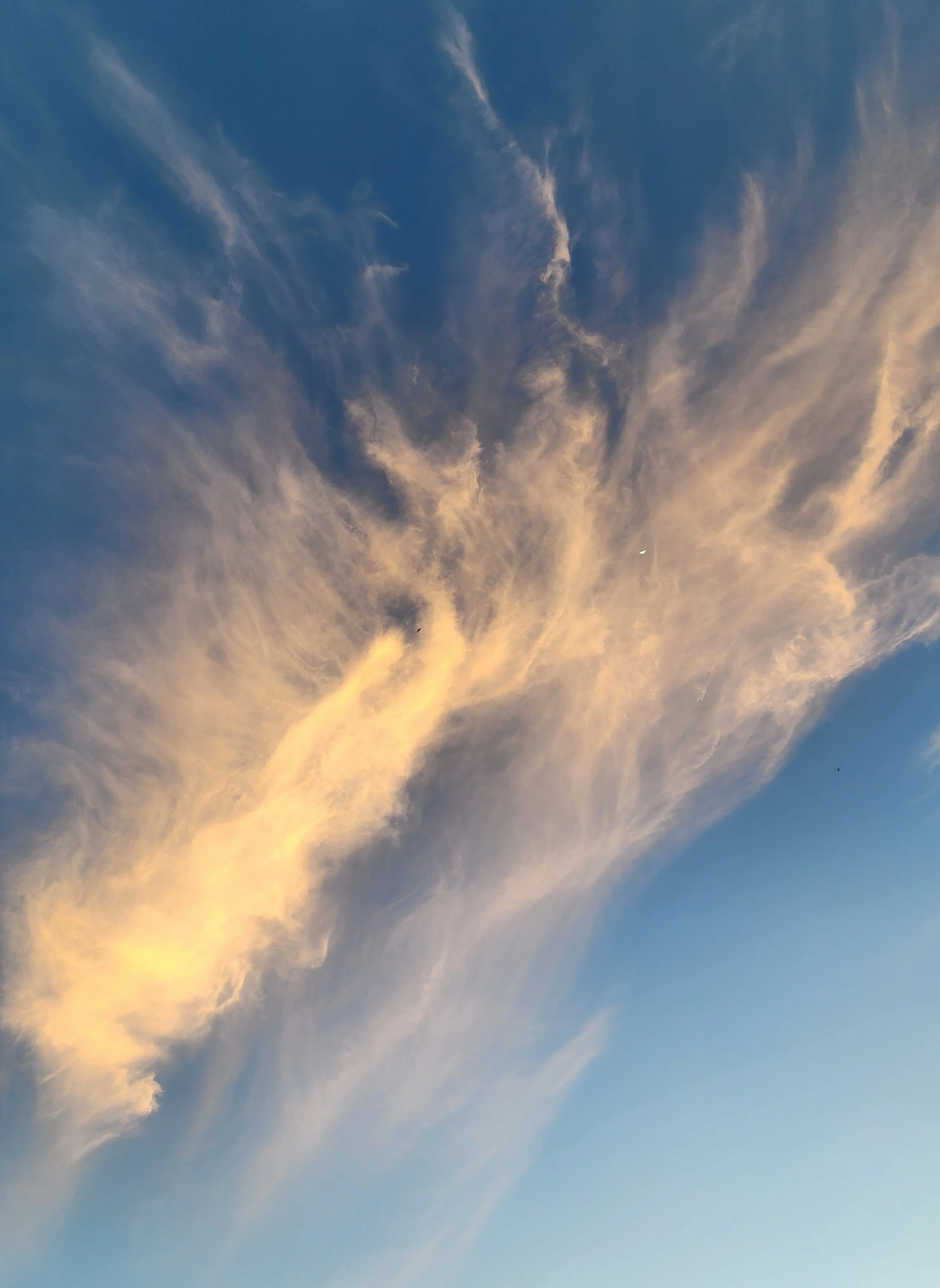 Sky with scattered light clouds and a crescent moon.