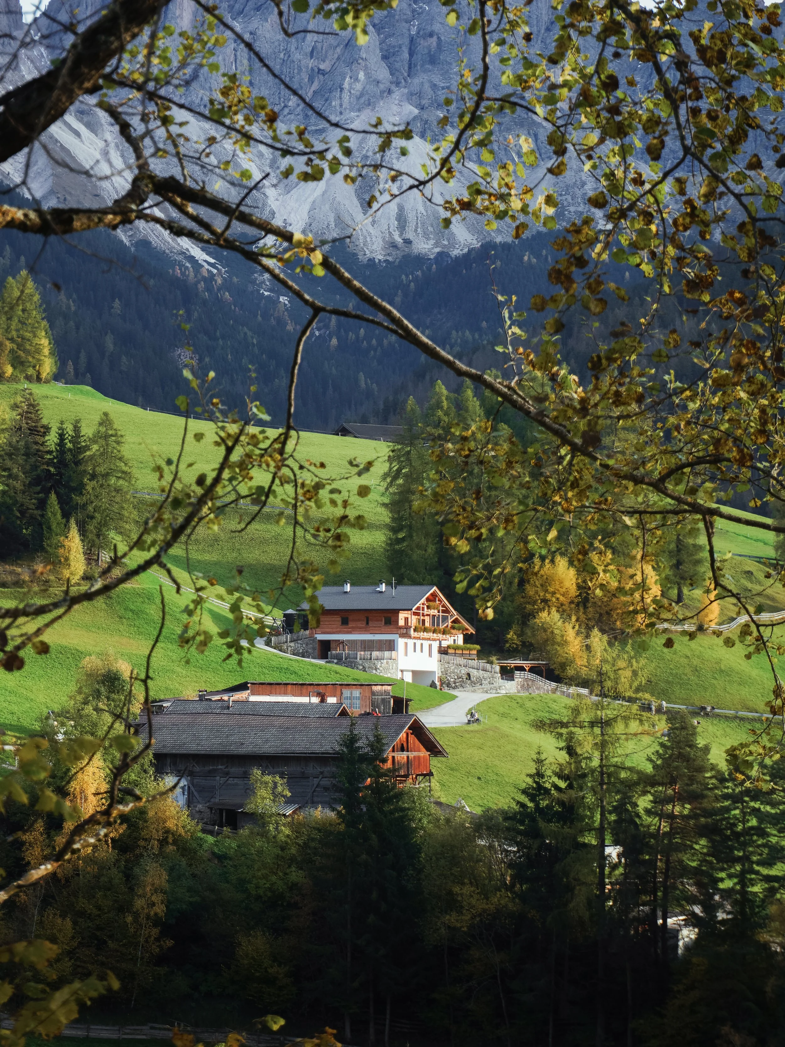 DSC09879 (1).jpg