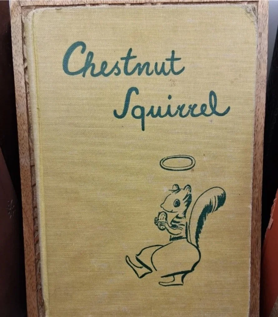 Chestnut Squirrel by: Henry Steele