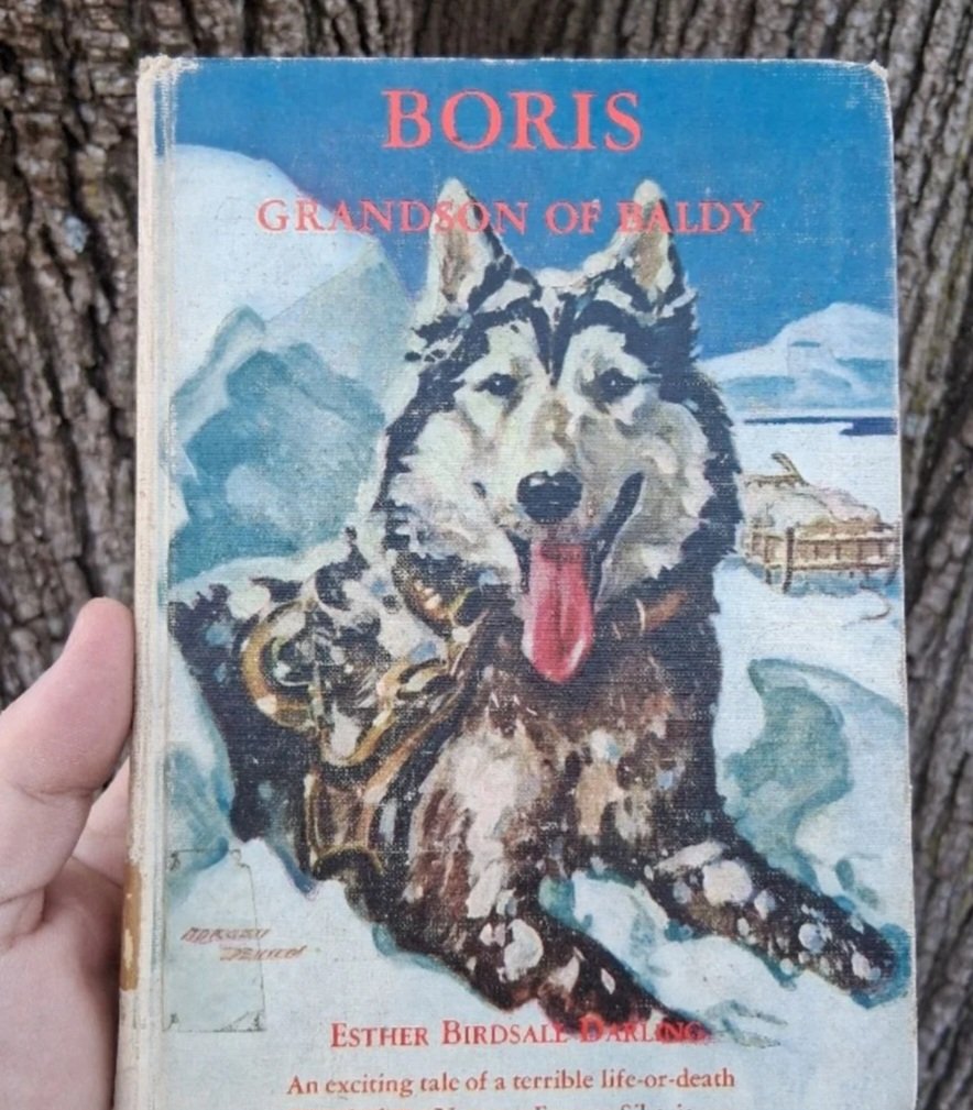 Boris, Grandson of Baldy by: Esther Birdsall Darling