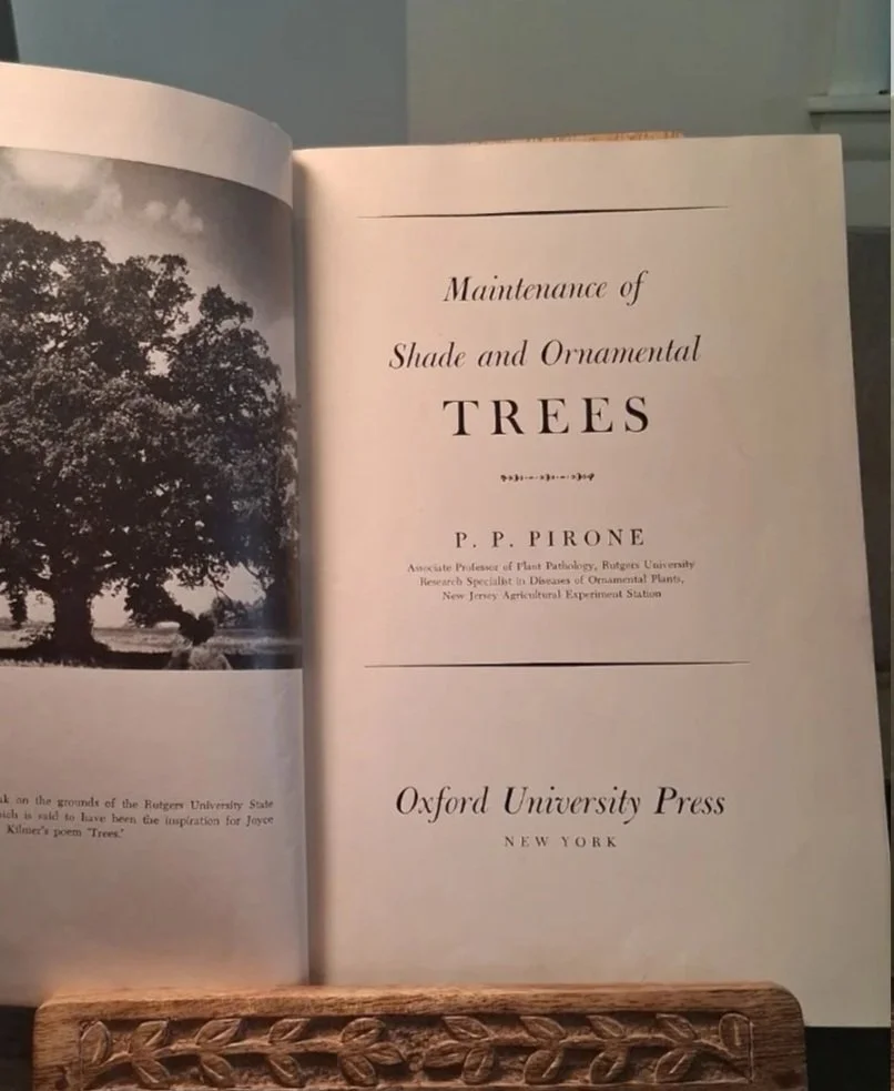 Maintenance of Shade and Ornamental Trees by: P. P. Pirone