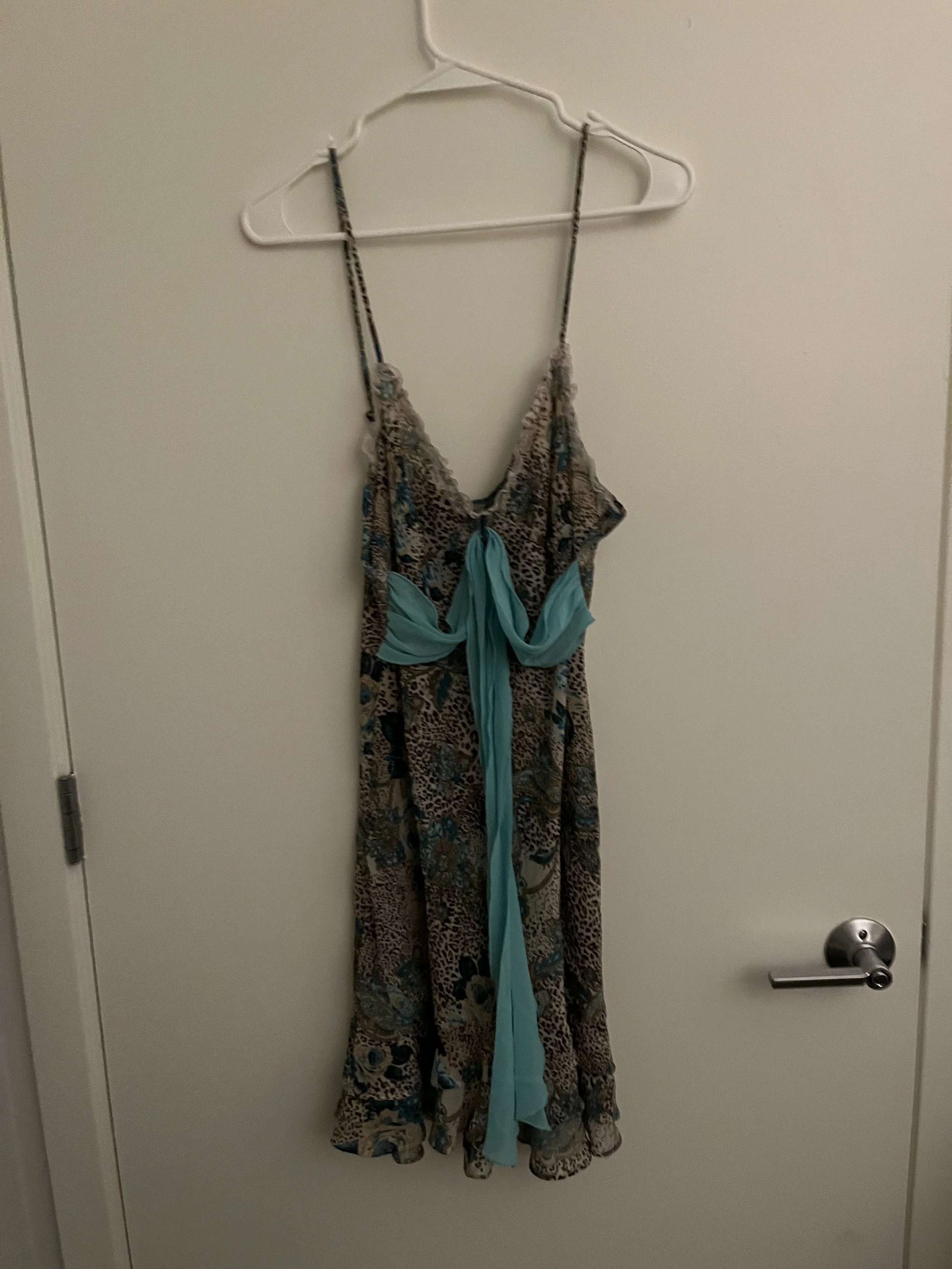 Cheetah Blue Ribbon Slip