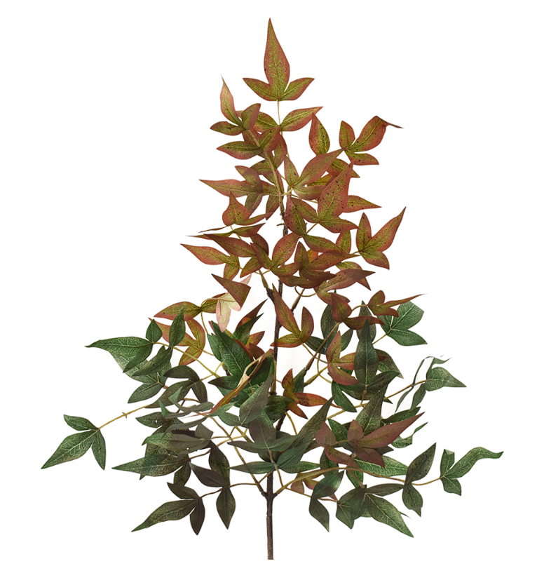 Wild Nandina Spray 27.5’’