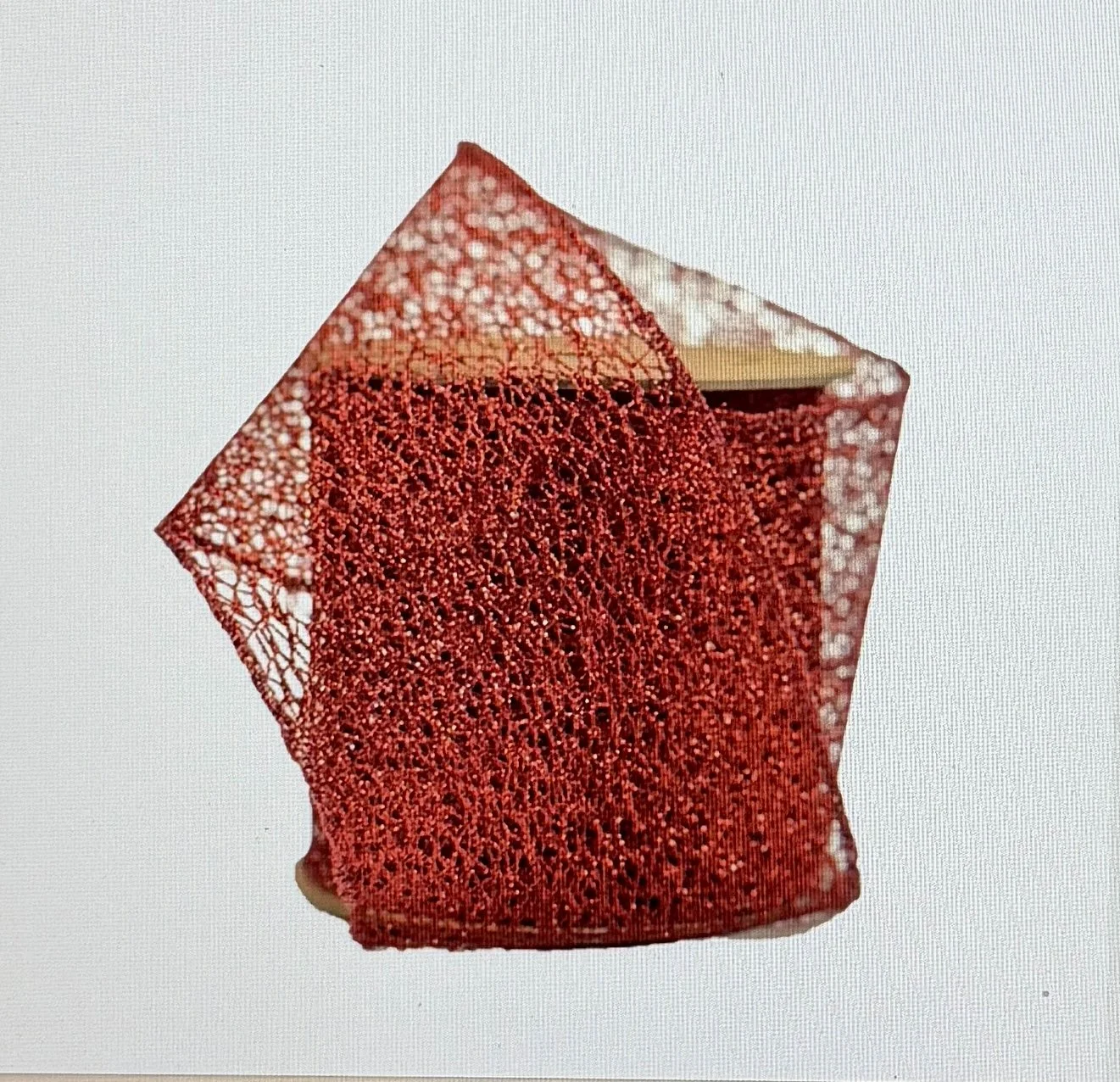 Mesh Wired Ribbon Red 4 in. w x 10 yds.