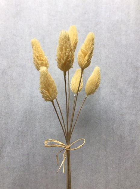 Amaranth Pick Bundle x 7"- Beige
