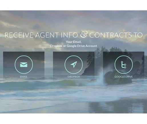 Agent Input