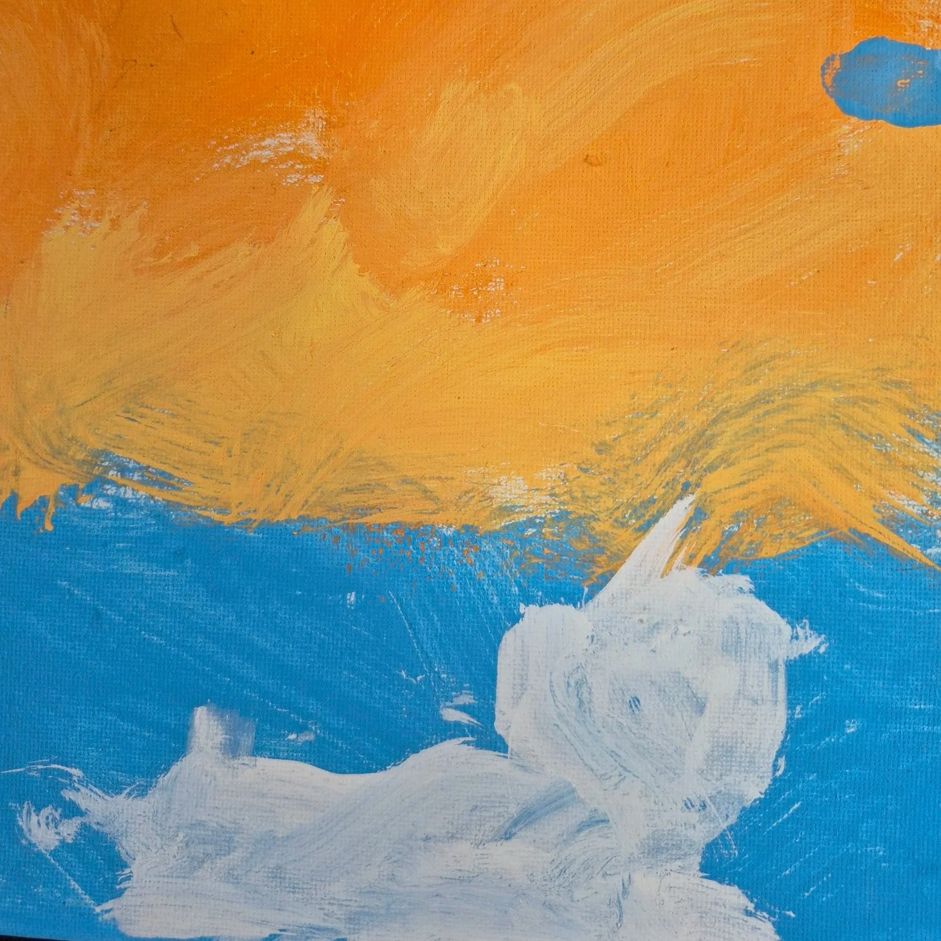 15. Cat Swimming at Sunset in Still Waters