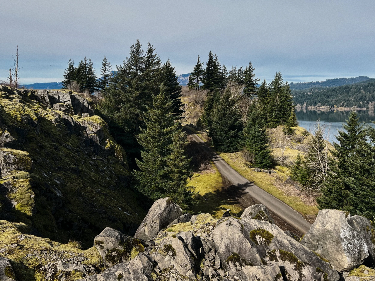 @caleglendening_IMG_2220 - CG Large.png
