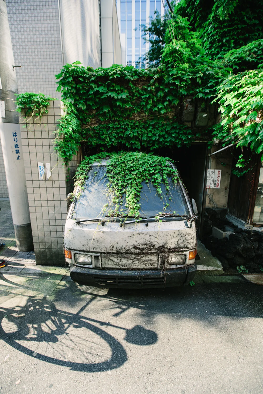 4M7A1835 - CG Large.png