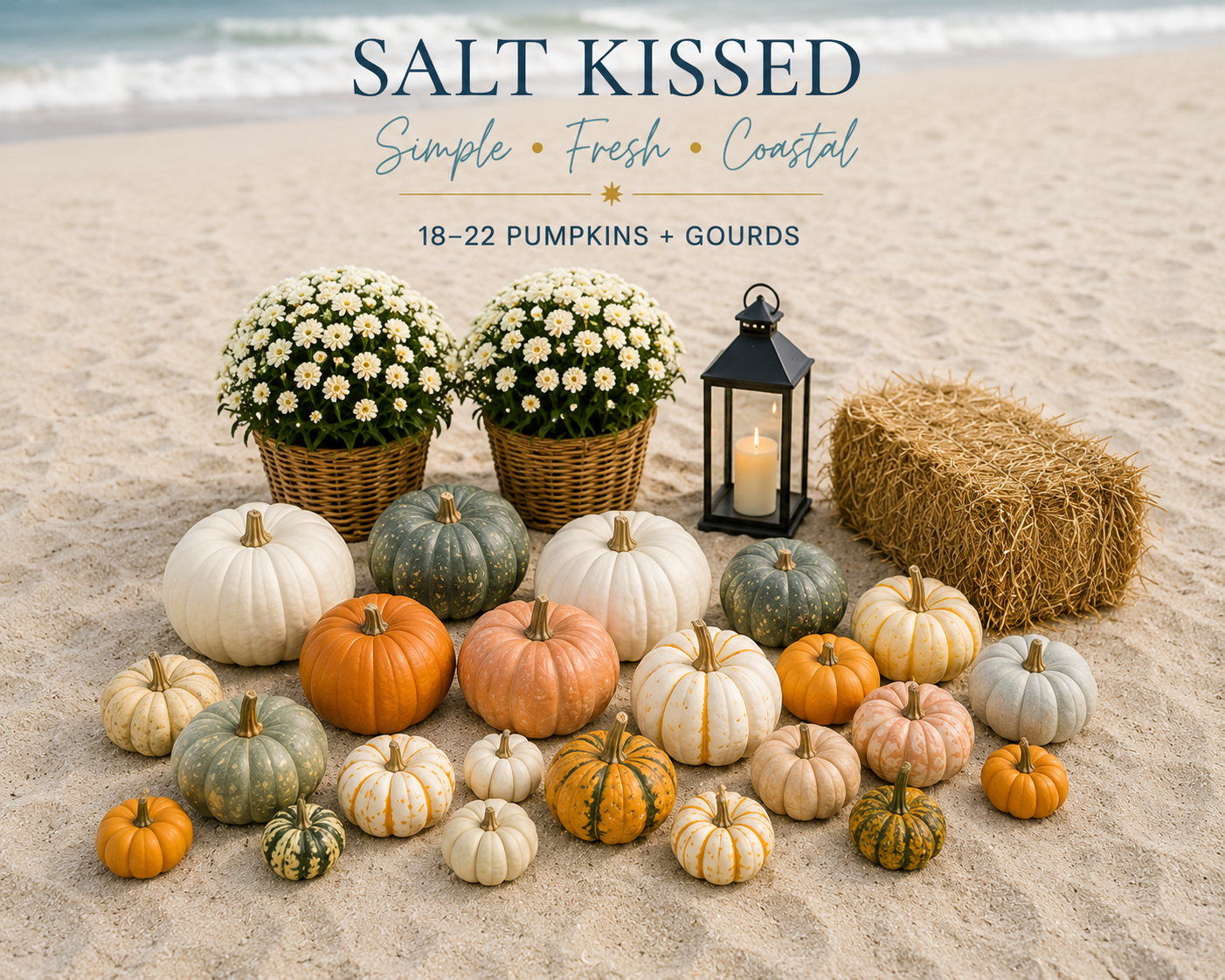 salt kissed - package.png