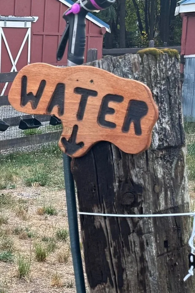 Water.jpg